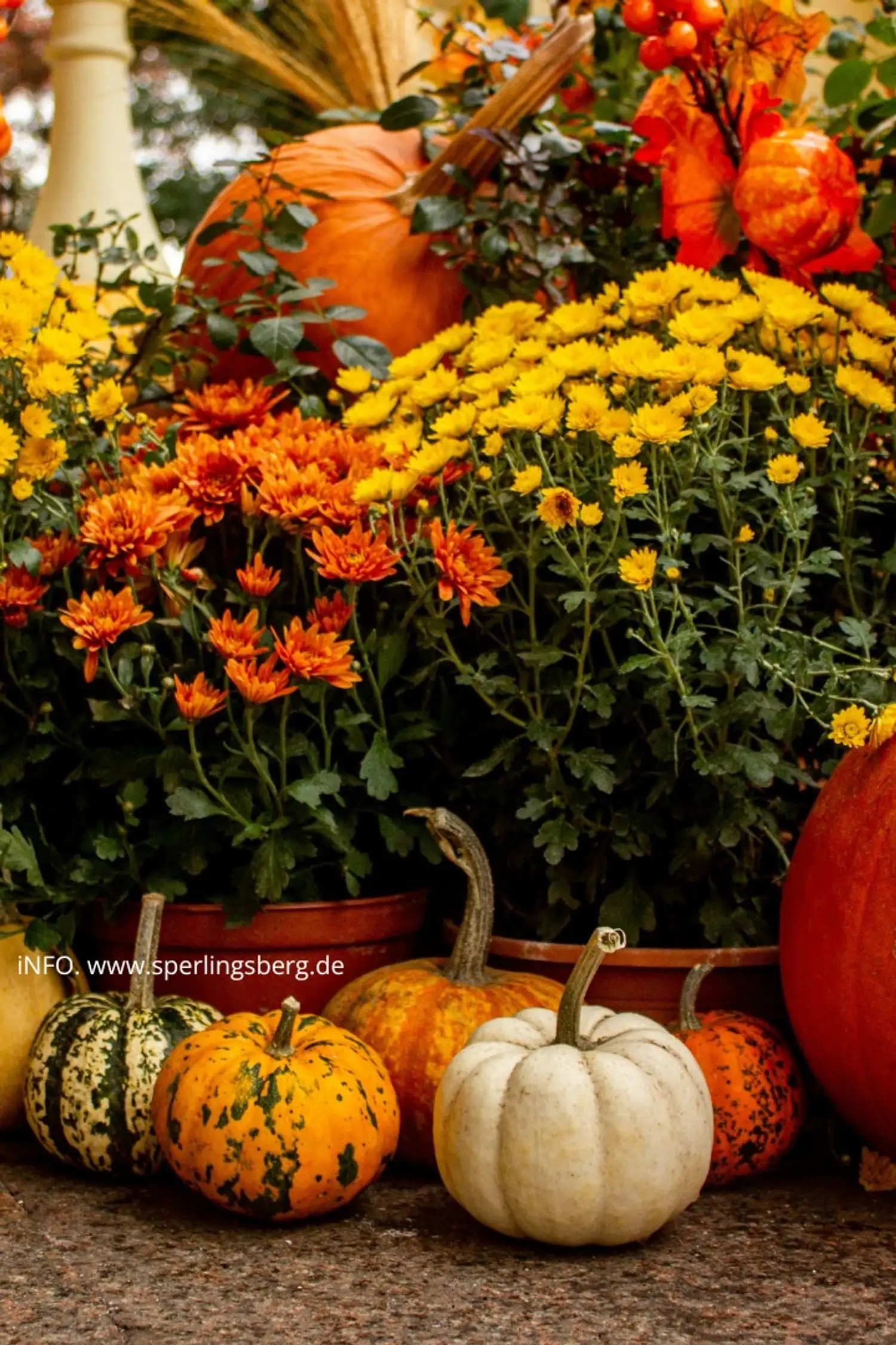 Herbstfest & großes Kinderprogramm