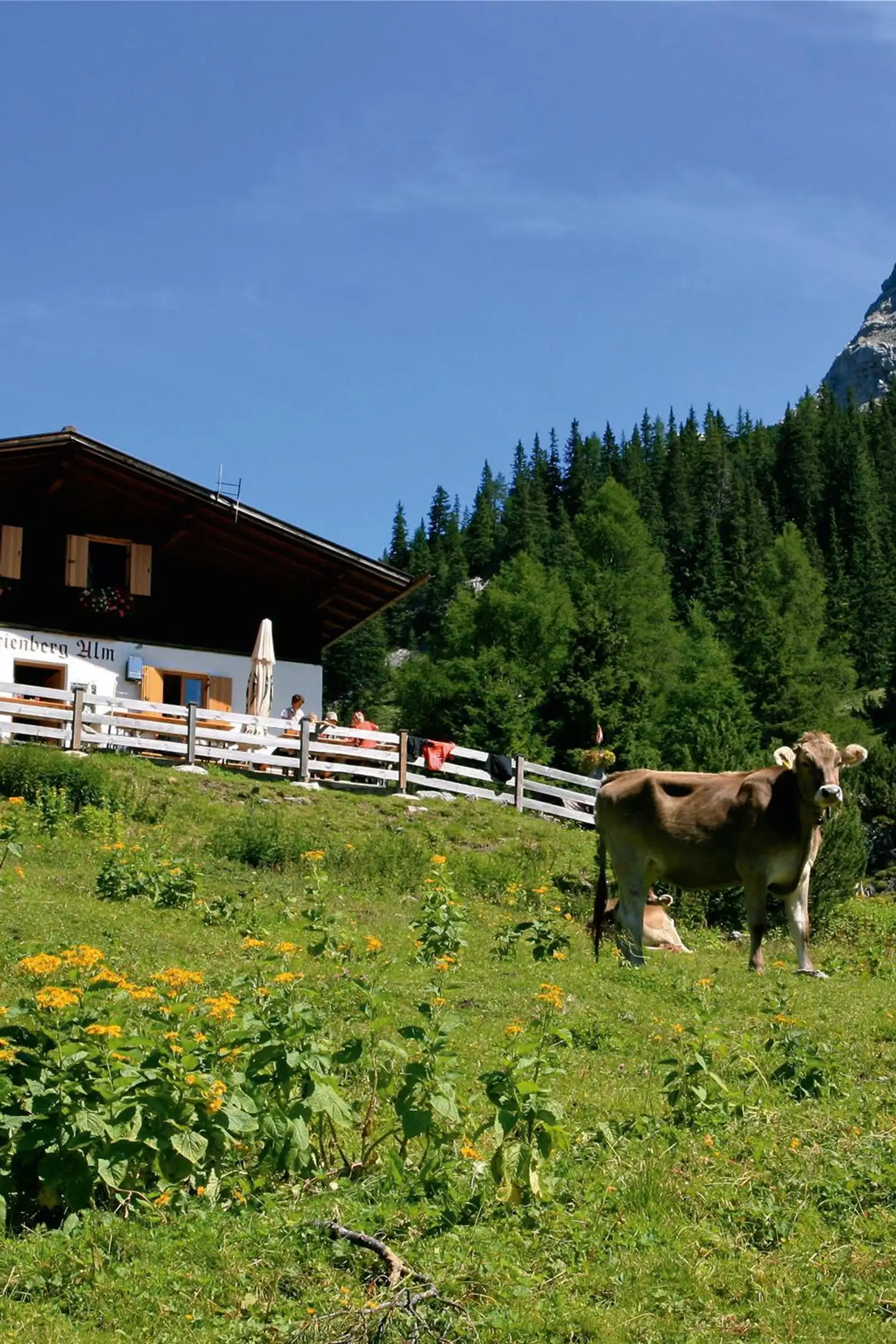 Alpine Festival at the Marienbergalm