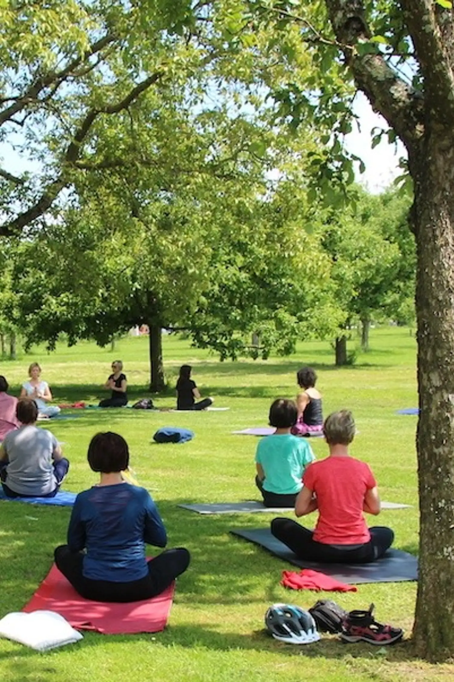 Hatha Yoga - mit Carolin