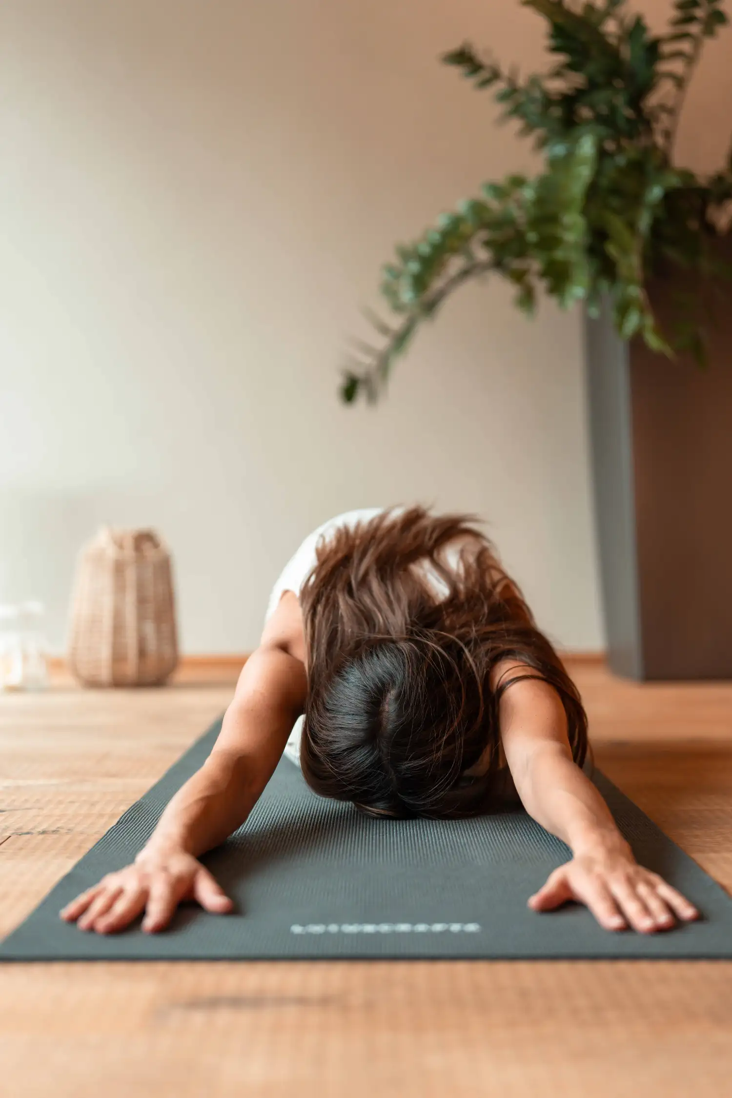 Yoga & Meditation