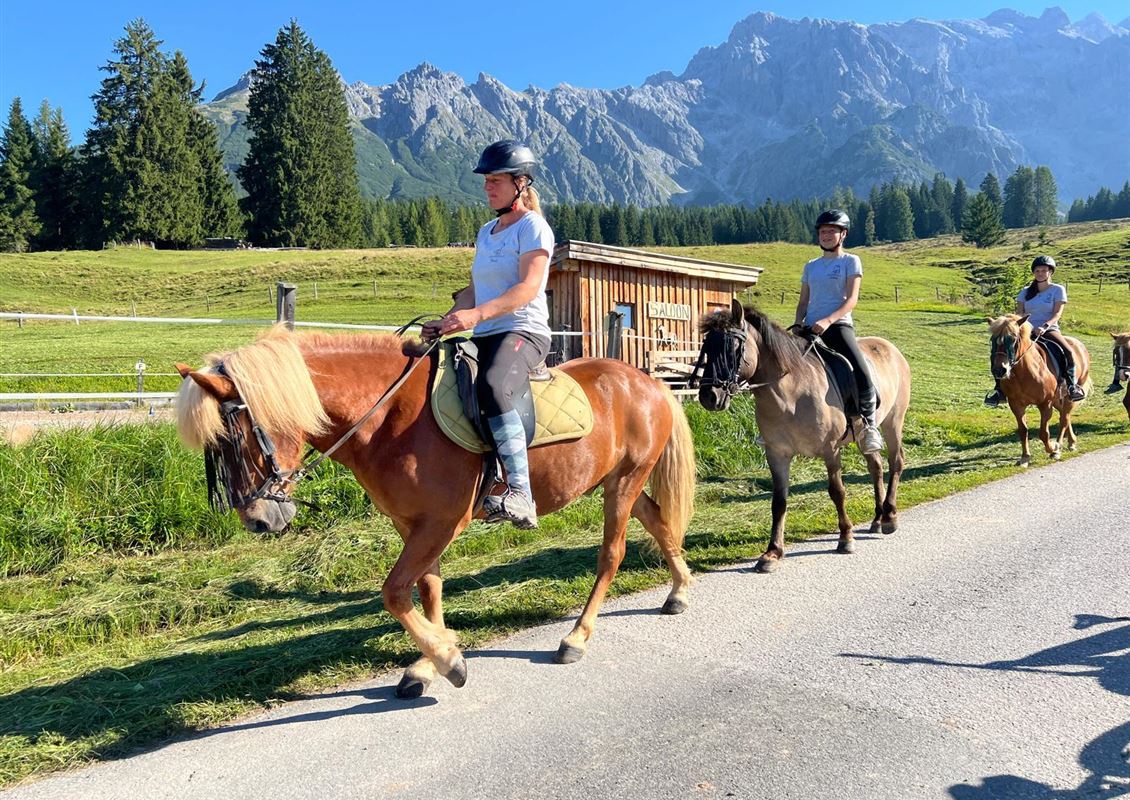Pony rides at the Rennerhof in Dienten Pre-registration mandatory via QR code or at reception