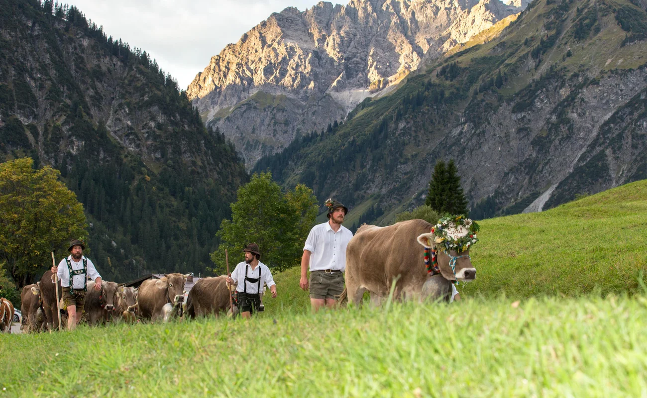 Viehscheid im Kleinwalsertal