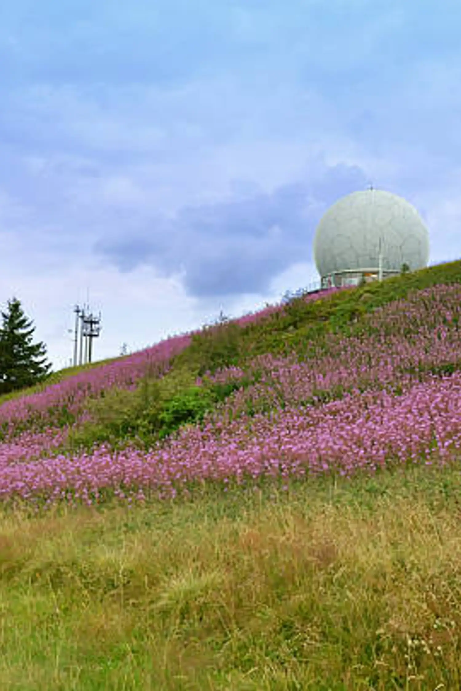 Ski- und Rodelarena Wasserkuppe