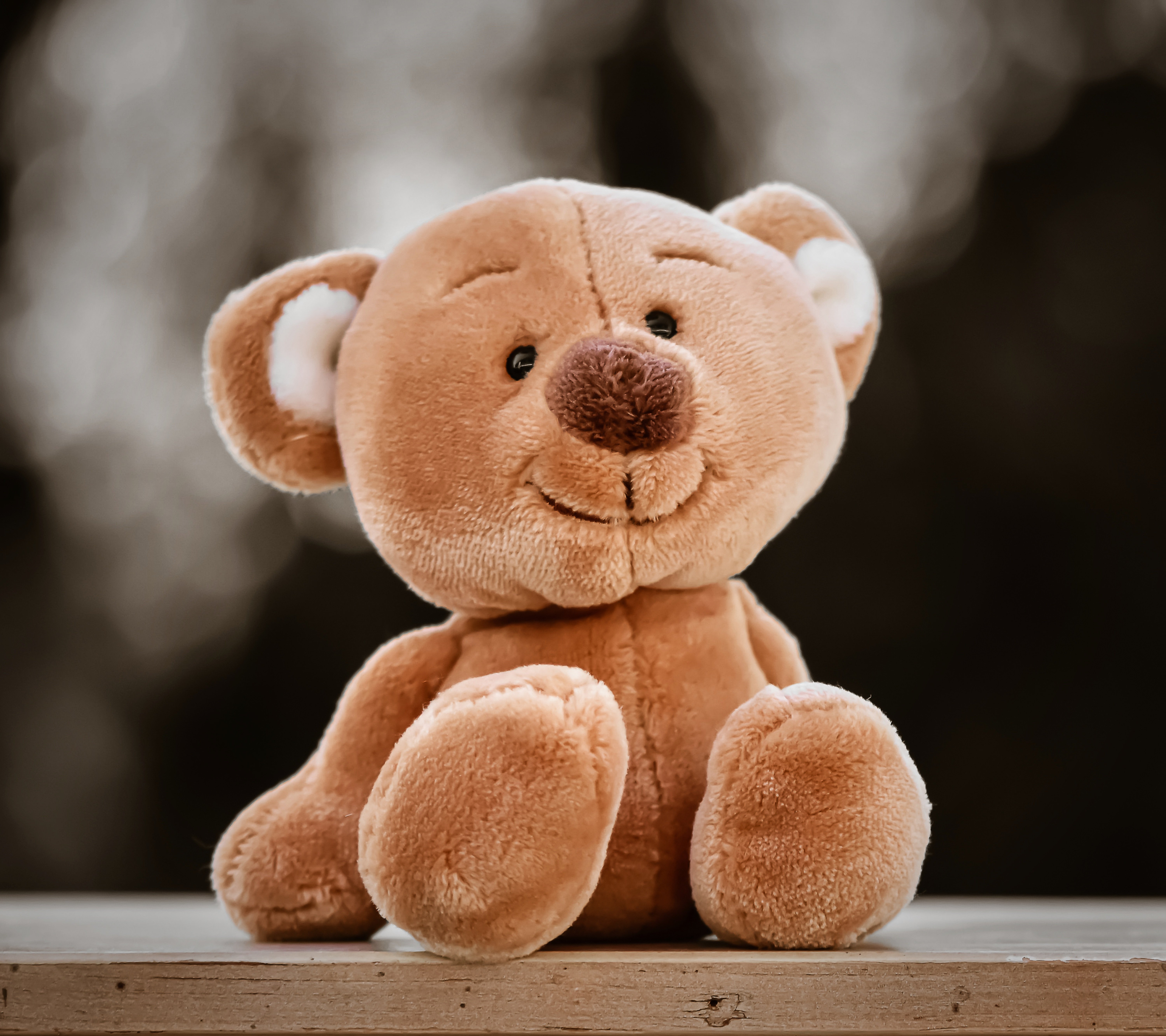Kuscheltierspaß für die Kleinsten: Kreative Betreuung im Happy-Club!" 🧸