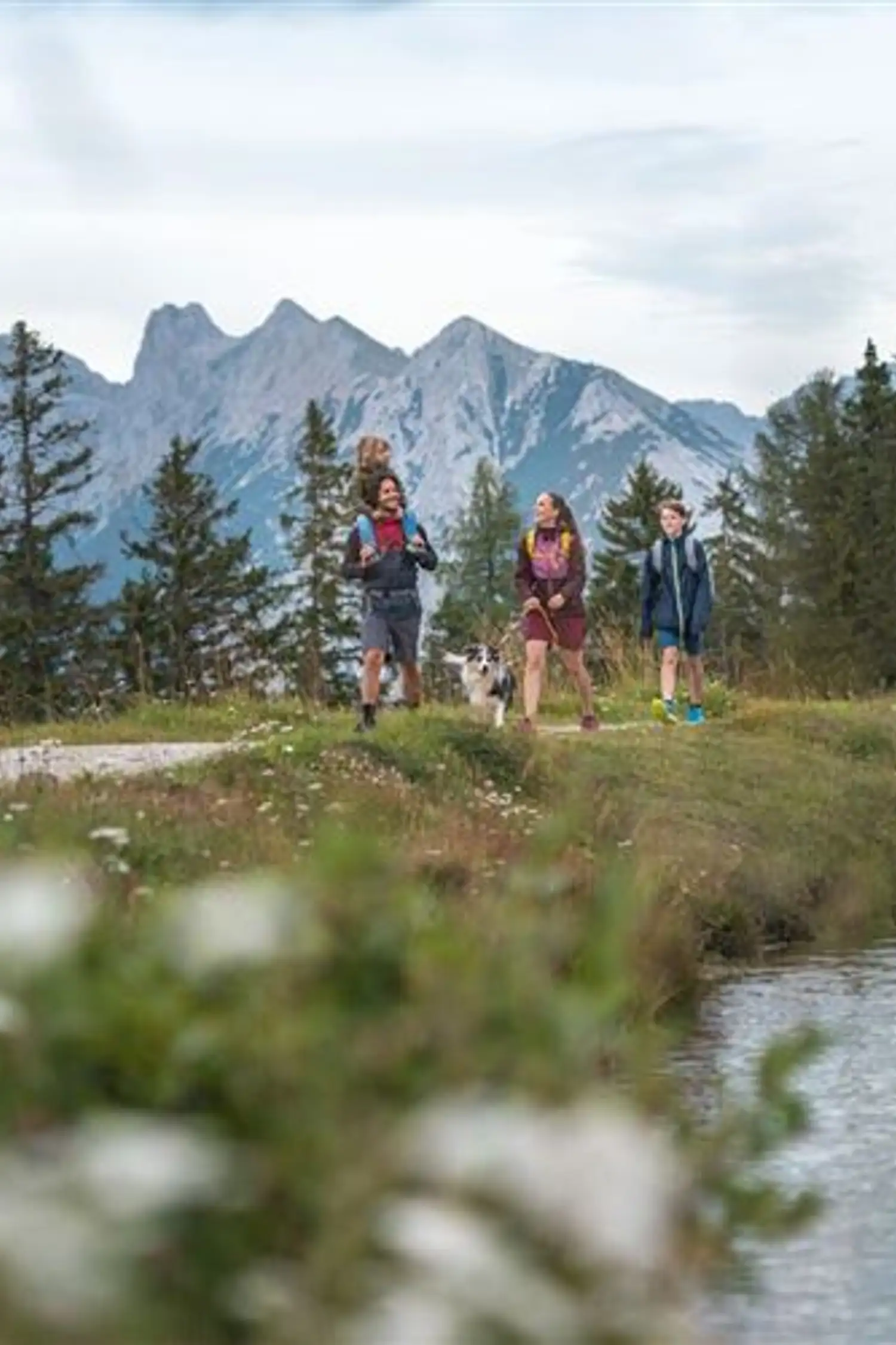Aktivprogramm Rundwanderung zum Panoramarestaurant Rosshütte und zur Hocheggalm