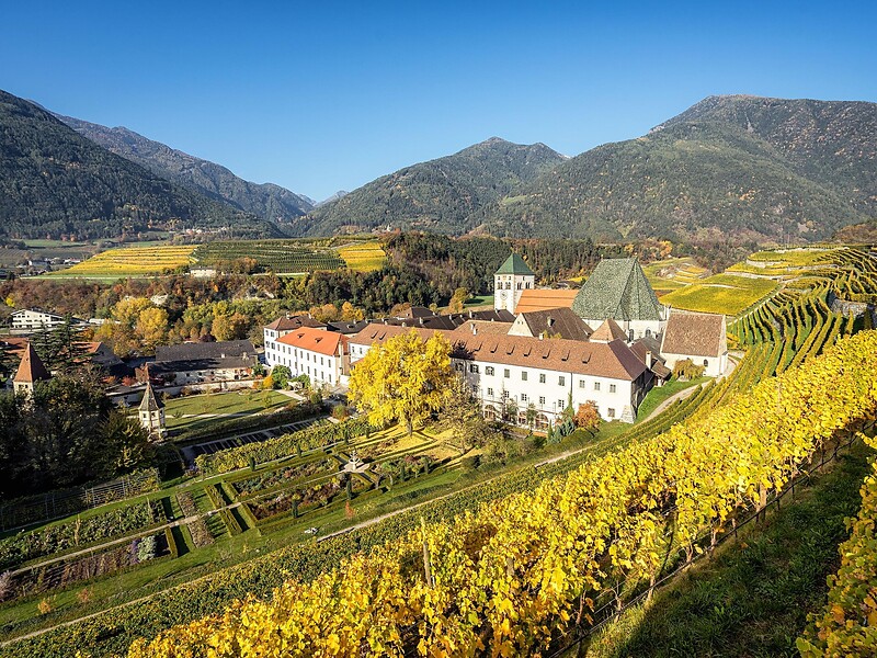 Between vines and monastery walls