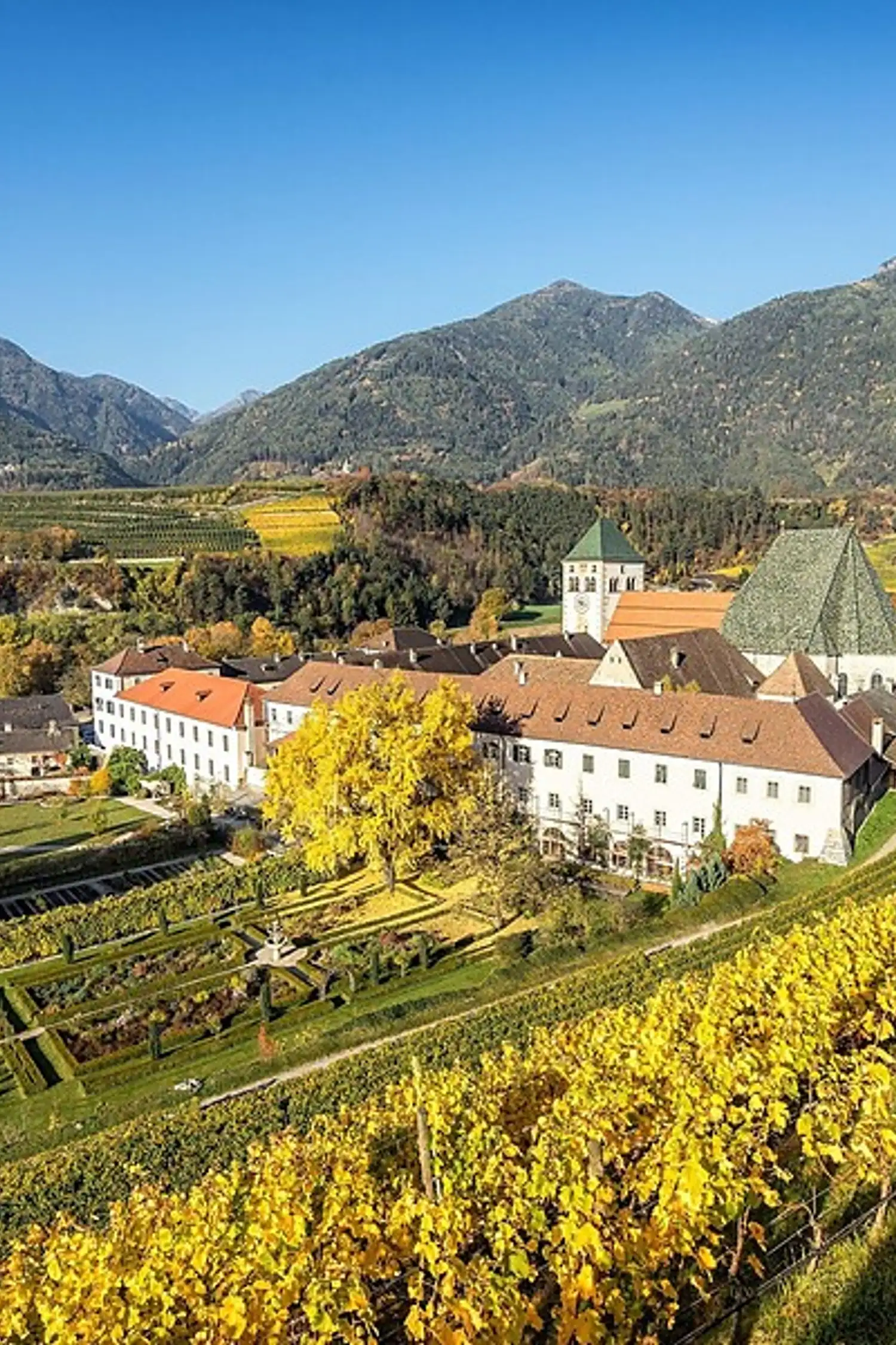 Zwischen Reben und Klostermauern
