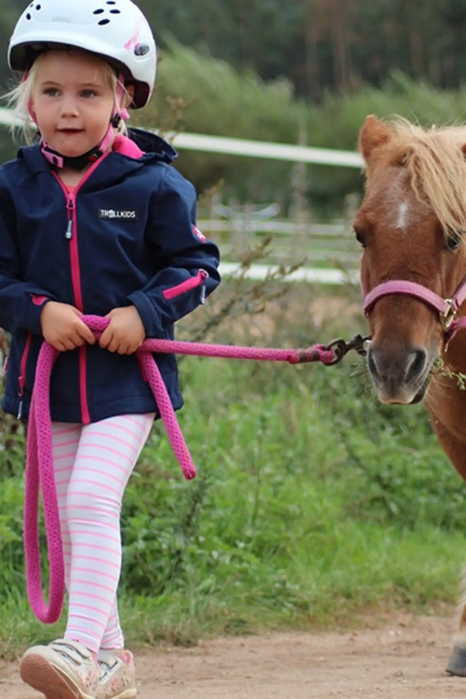 Ponyreiten Henntalhof