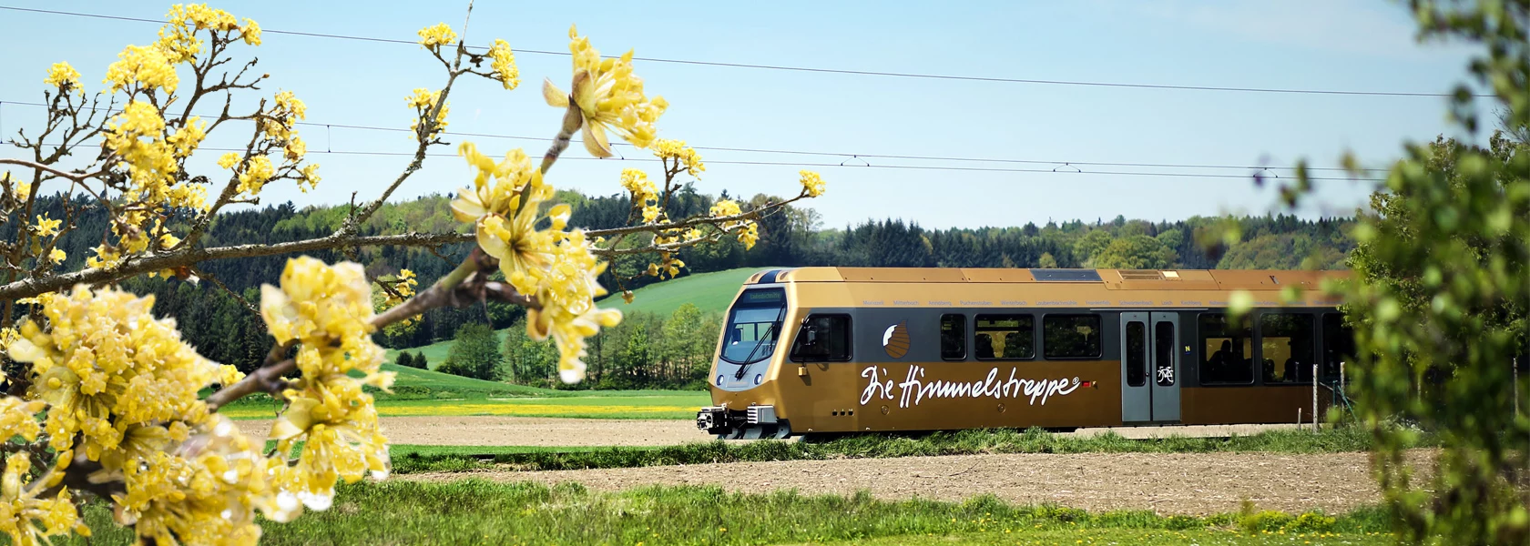 On the road with the Mariazell Railway
