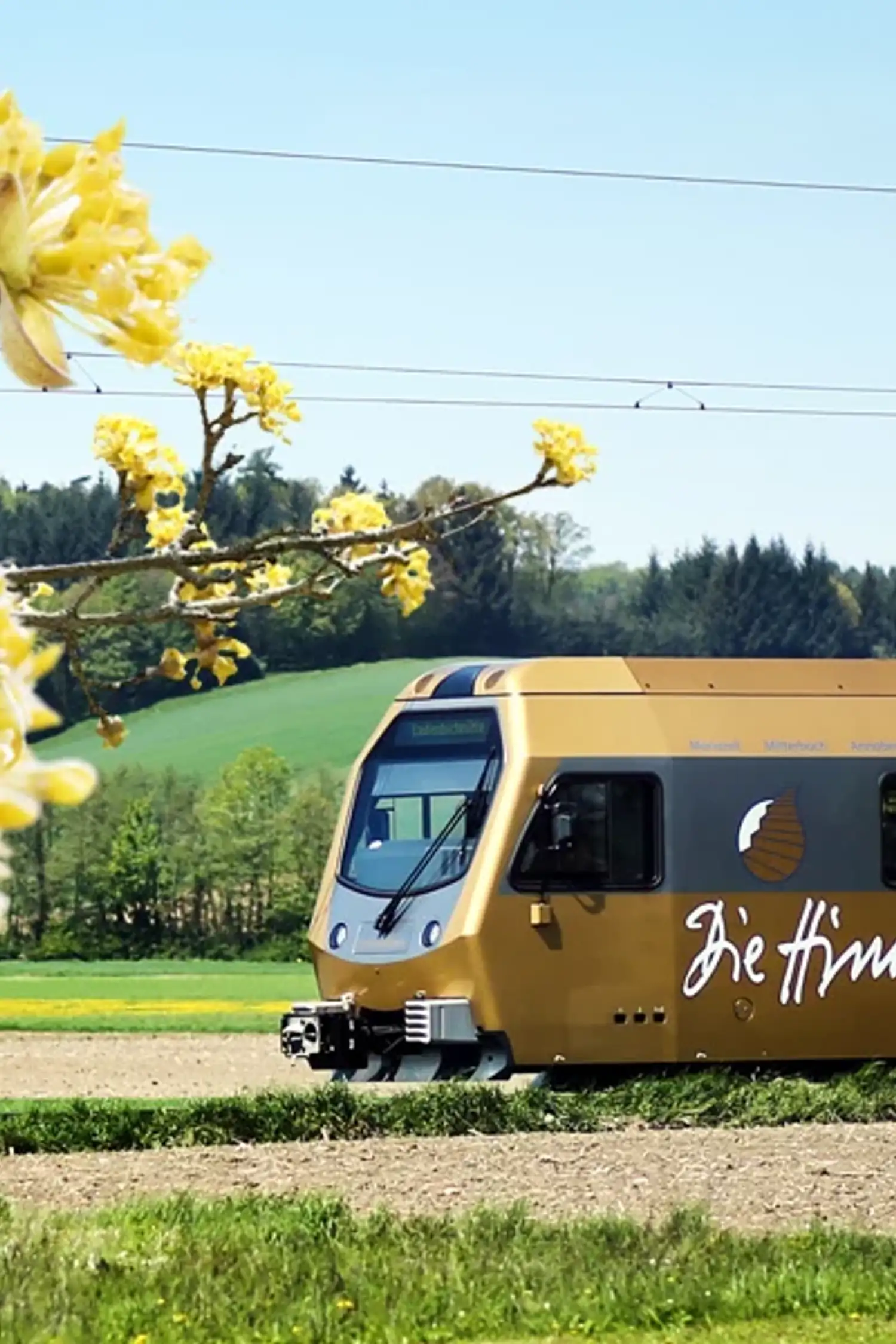 On the road with the Mariazell Railway