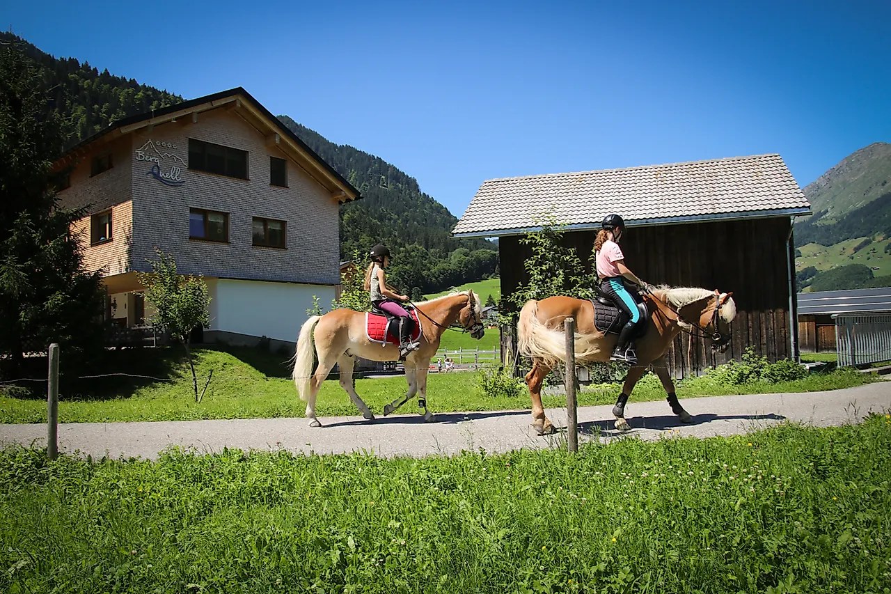 Guided pony rides for children
