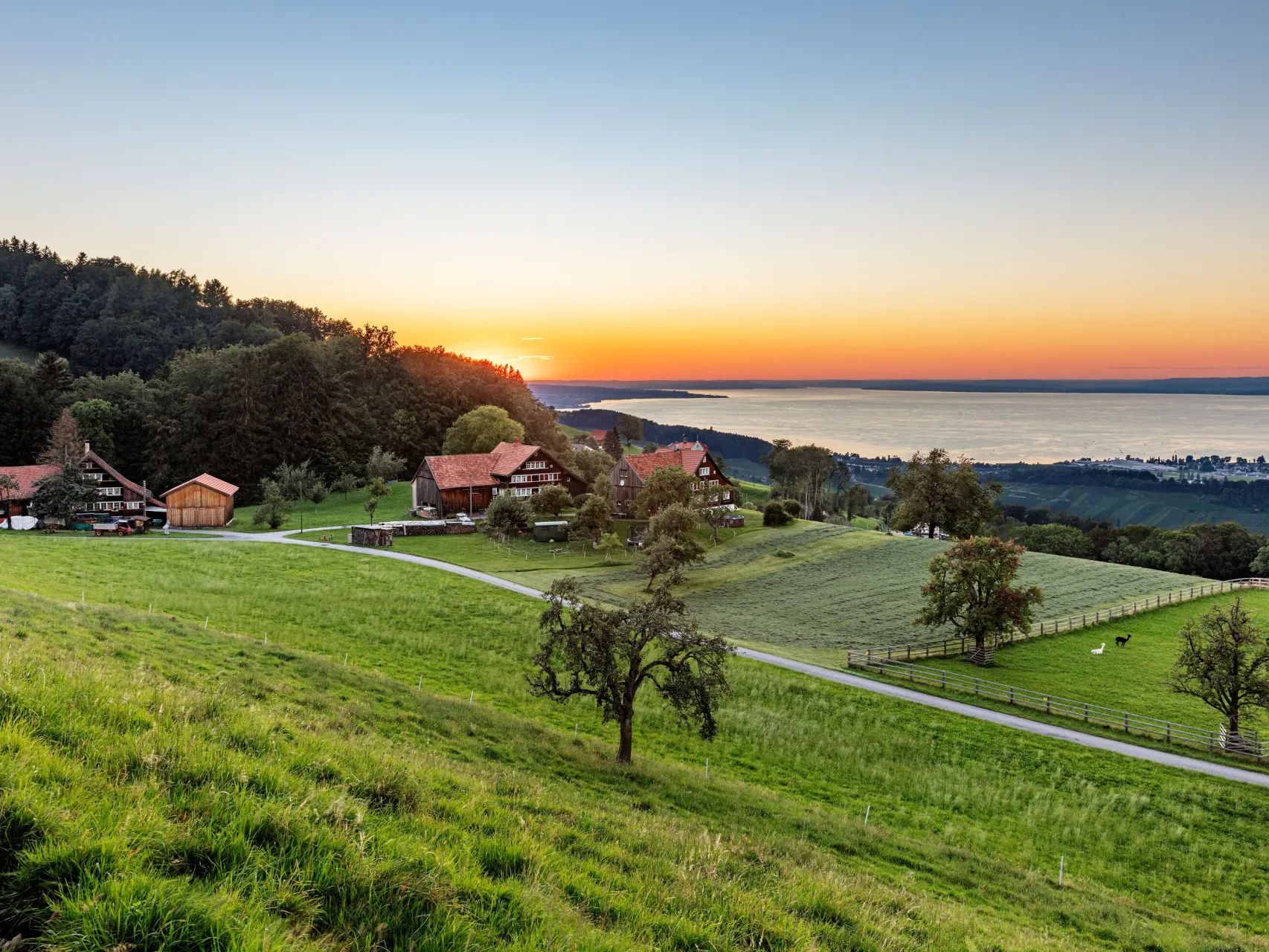 Appenzeller Witzweg