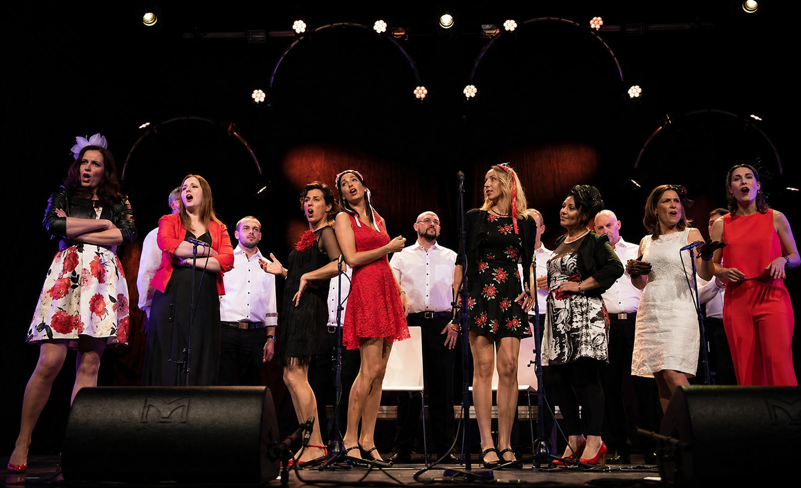 A cappella concert with "euphonic"