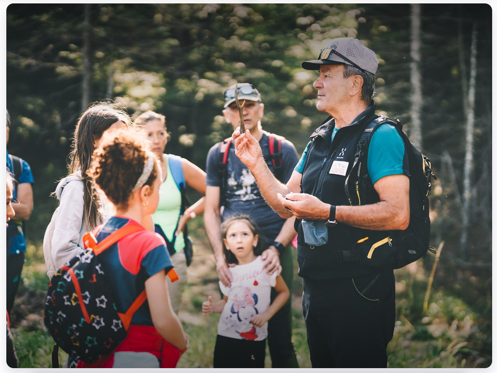 MONDAY: Forest Explorers