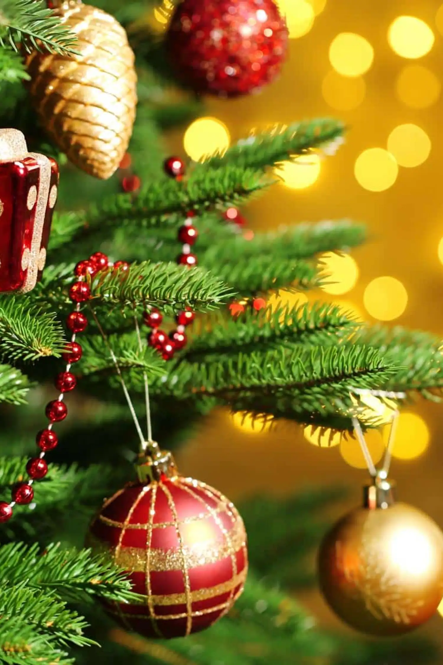 Eure etwas andere Weihnachtsparty