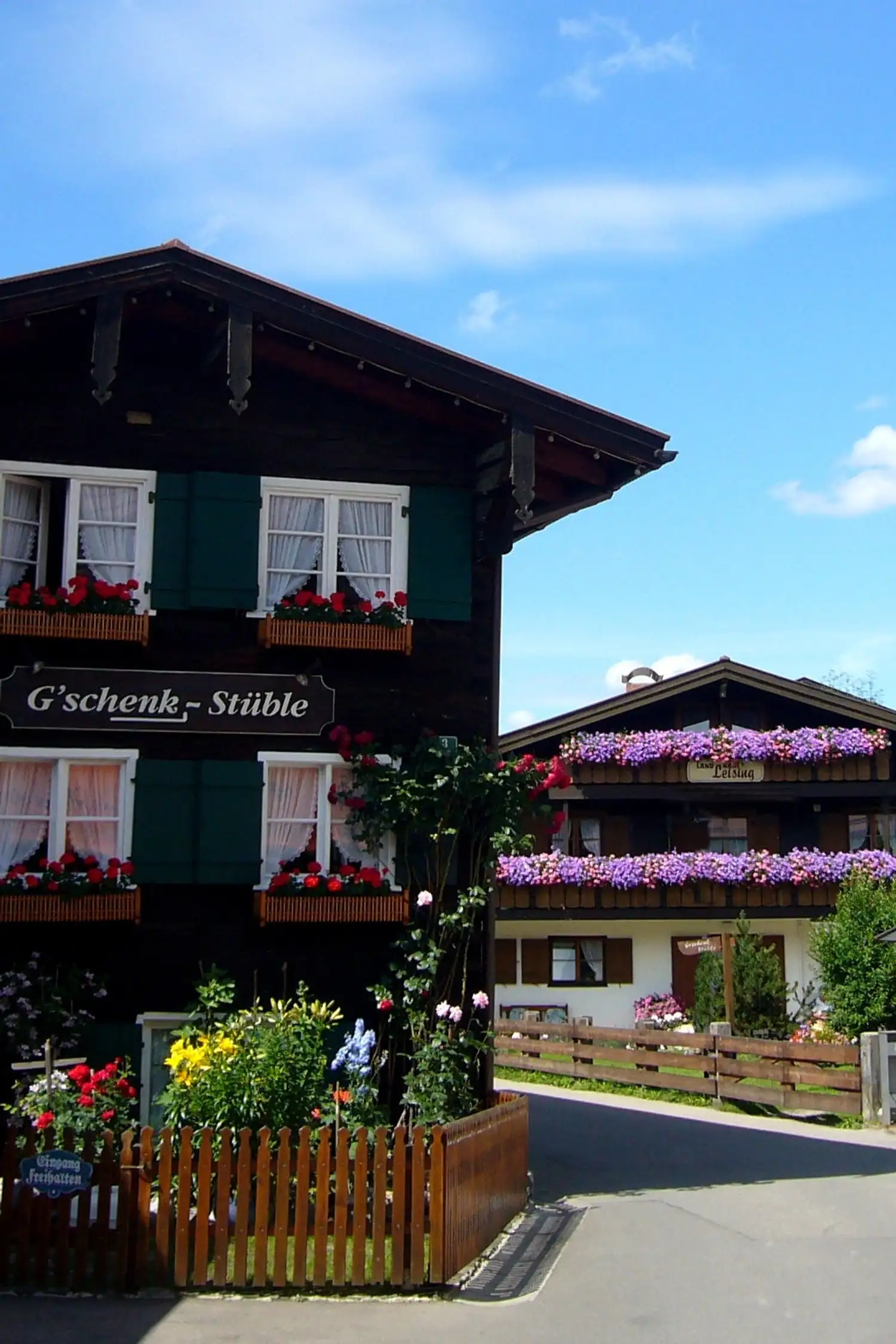 Hike with Max through the Trettachtal valley