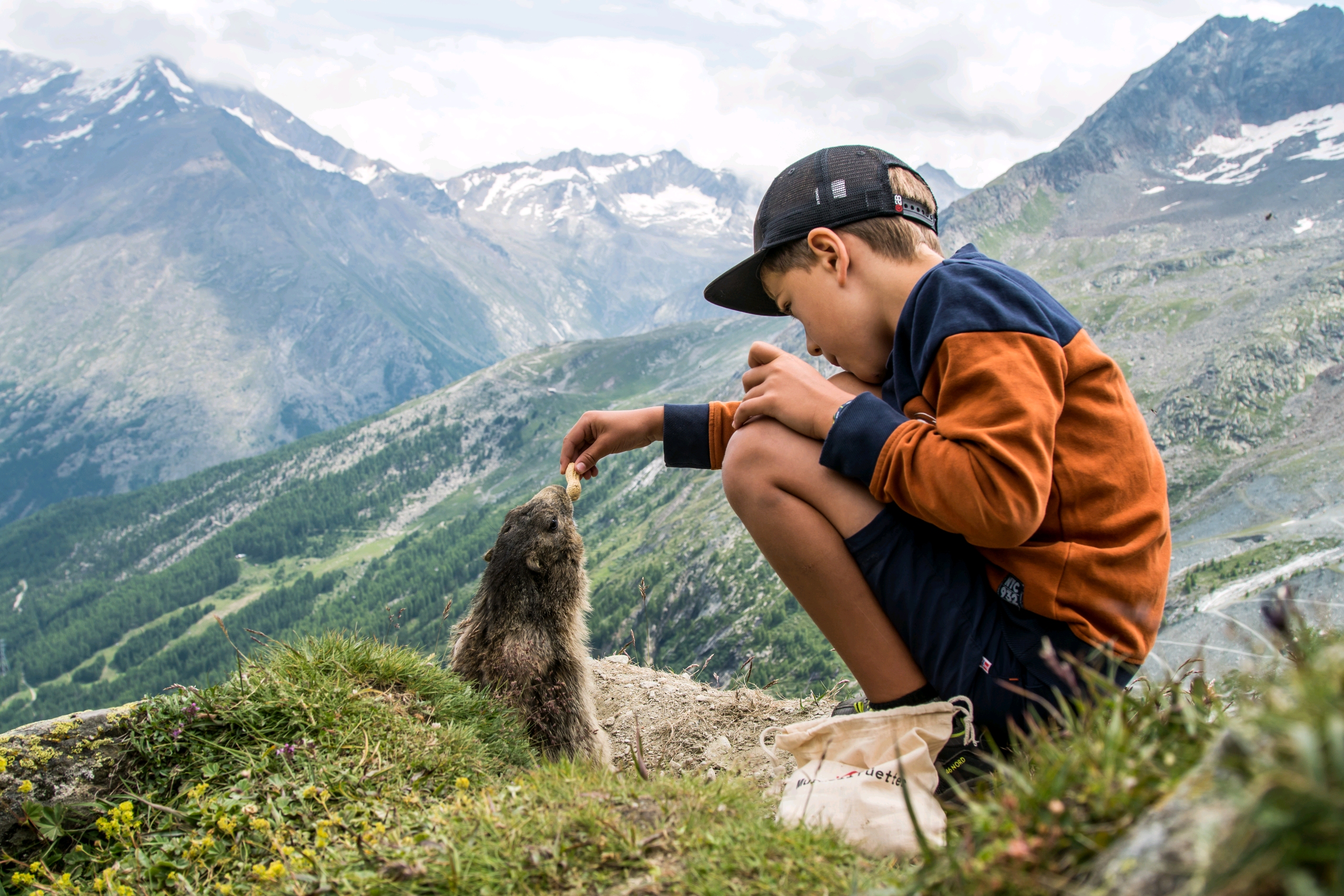 Marmot Hike
