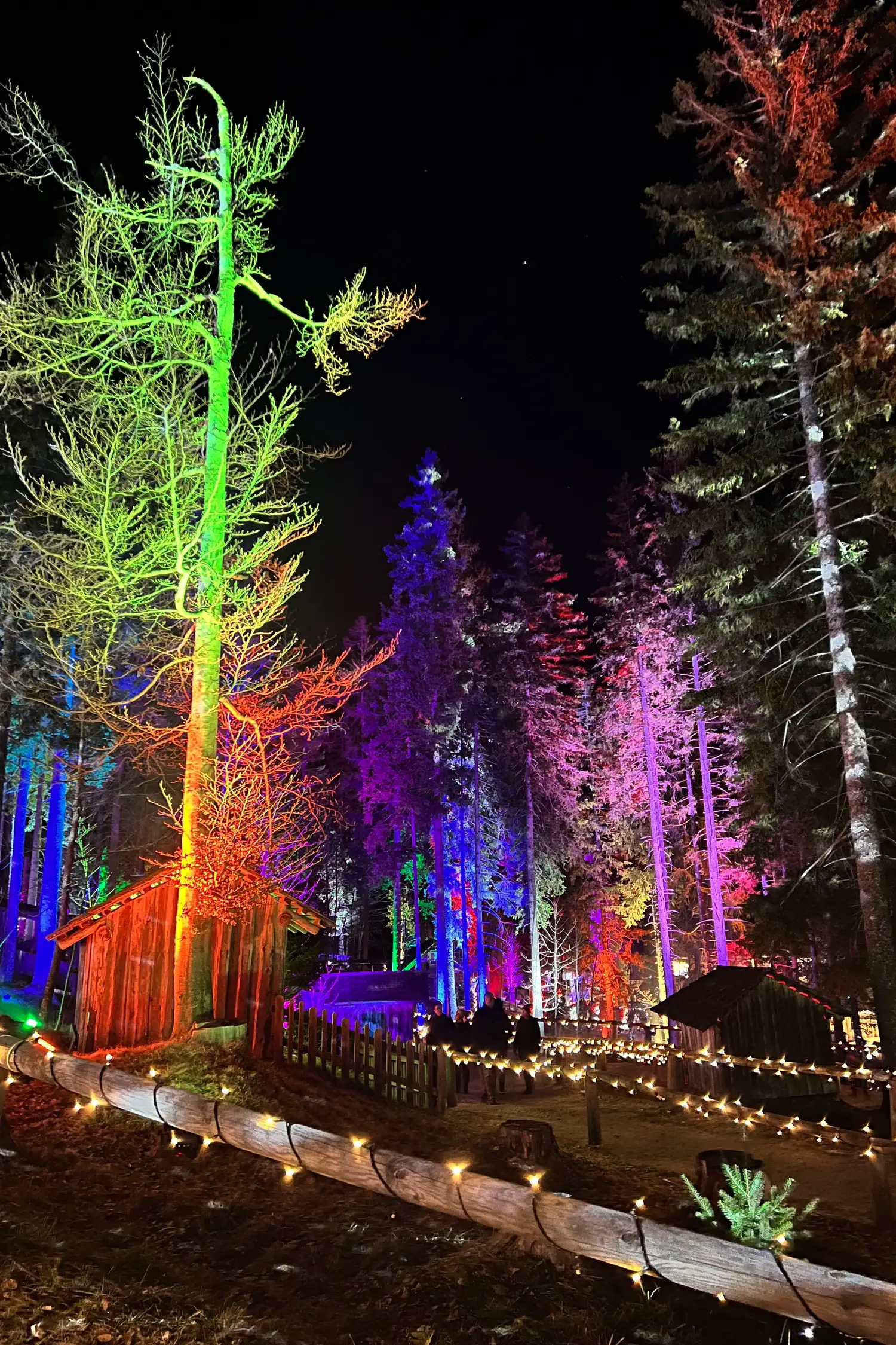 Lichterzauber auf der Bürgeralpe