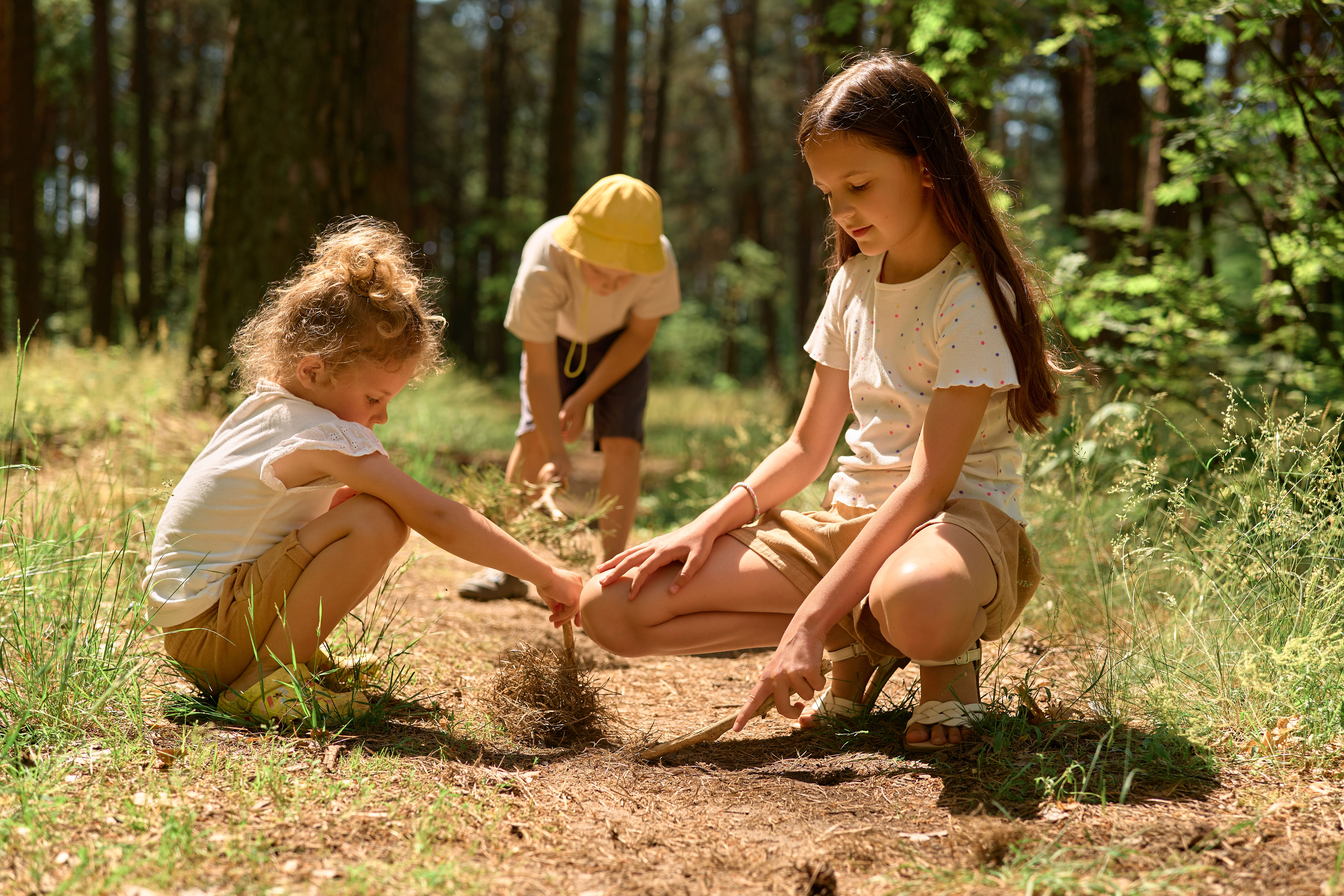 Collecting Forest Items