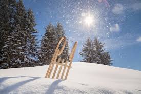 Toboggan rental