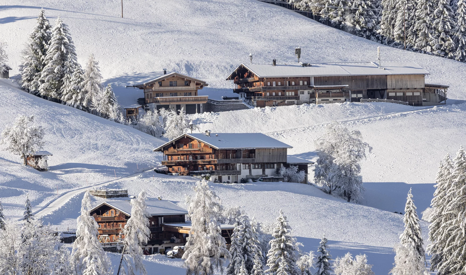 Winter pleasure hike in Alpbach