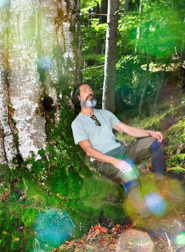 Forest bathing with Maurizio in Mitterbach
