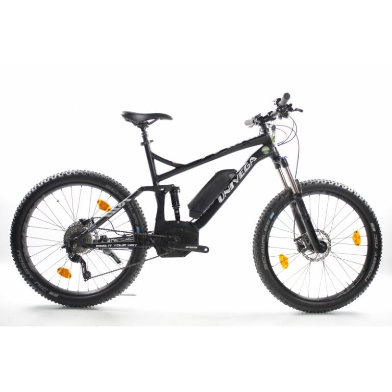 E-bike rental