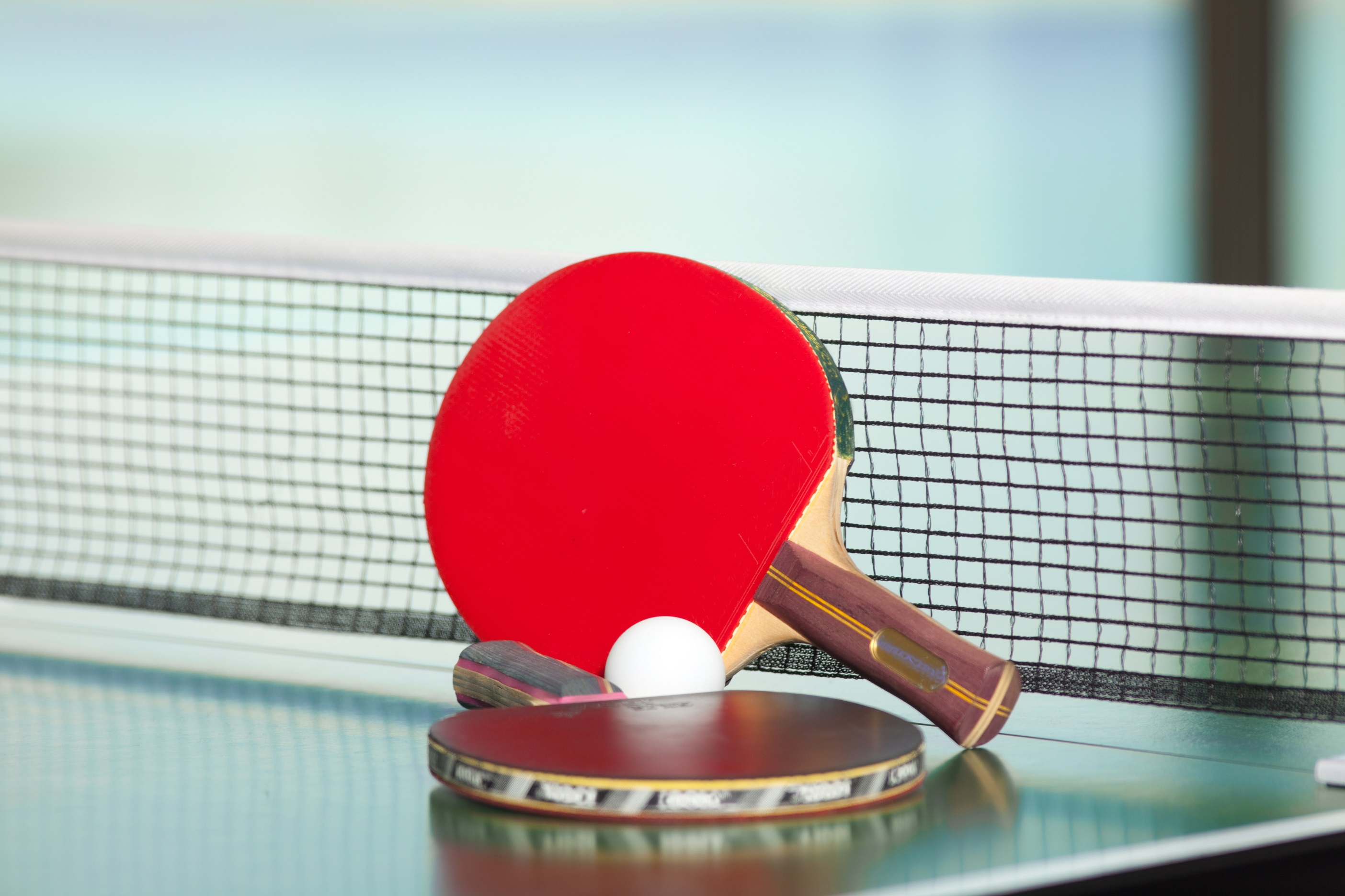 TABLE TENNIS TOURNAMENT