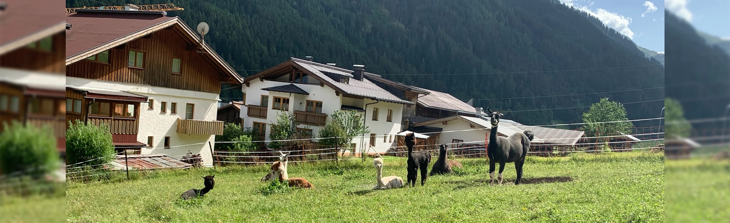 Geführter Lampaka Spaziergang
