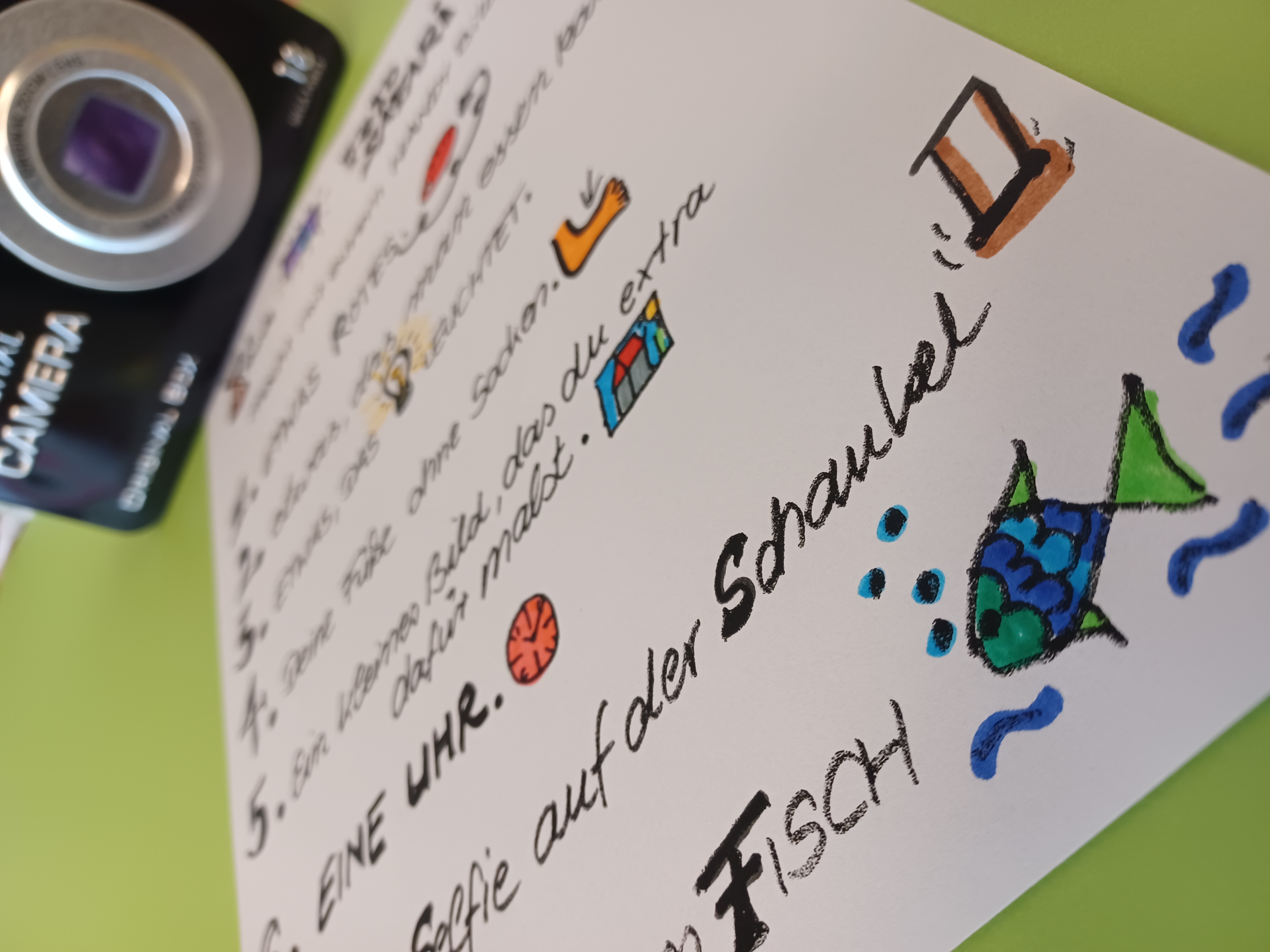 Flashlight safari for kids aged 7 and over