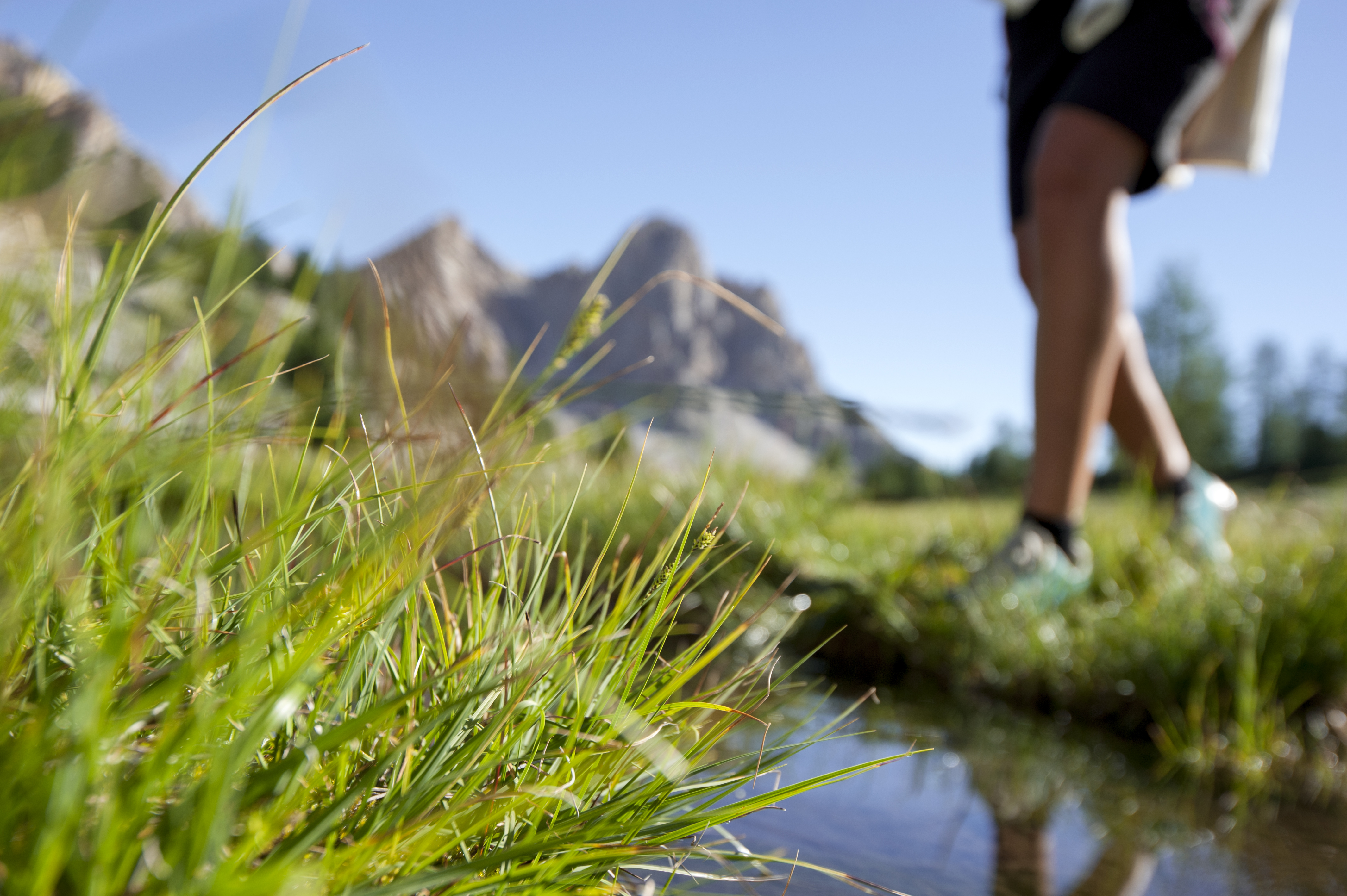*Leichte Wanderung auf die Plätzwiese mit Sonja