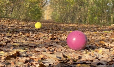 Boßeltour, ein Teamevent an der frischen Luft | Soltau