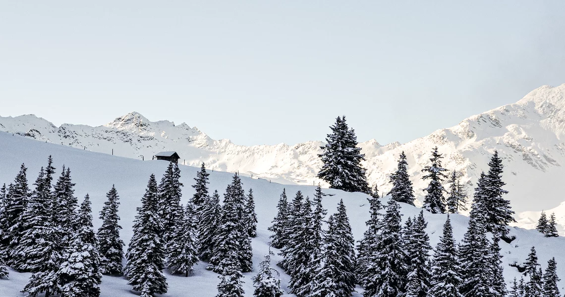 Geführte Rangertour  - Wintererlebnis Hollersbachtal