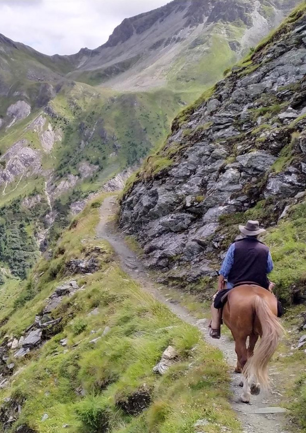 Iseltrail on 4 hooves - mountain hiking in East Tyrol image