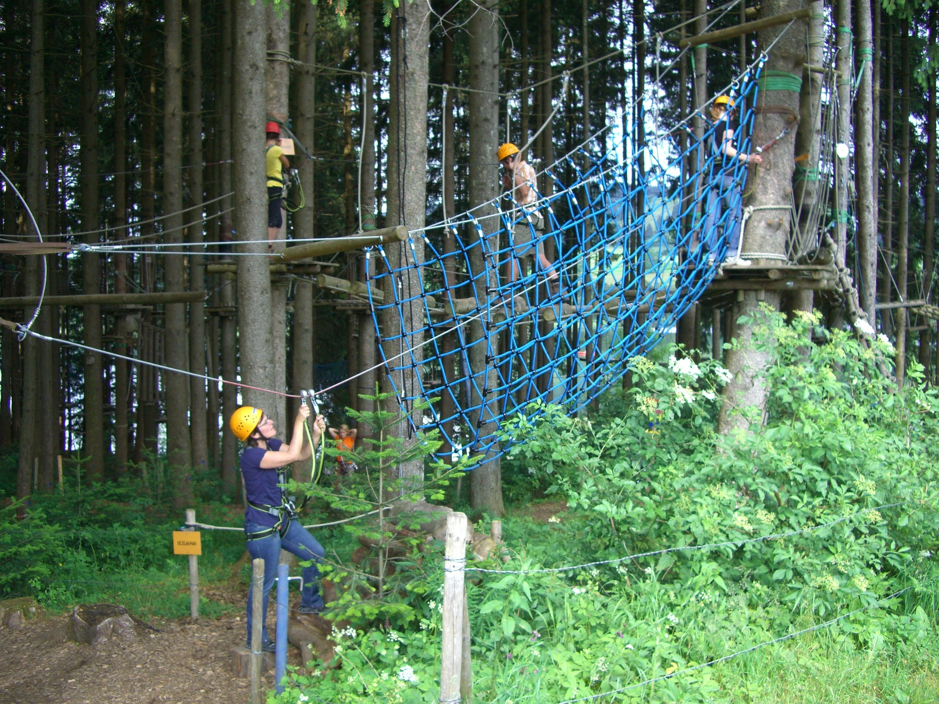 X-Tree forest rope park
