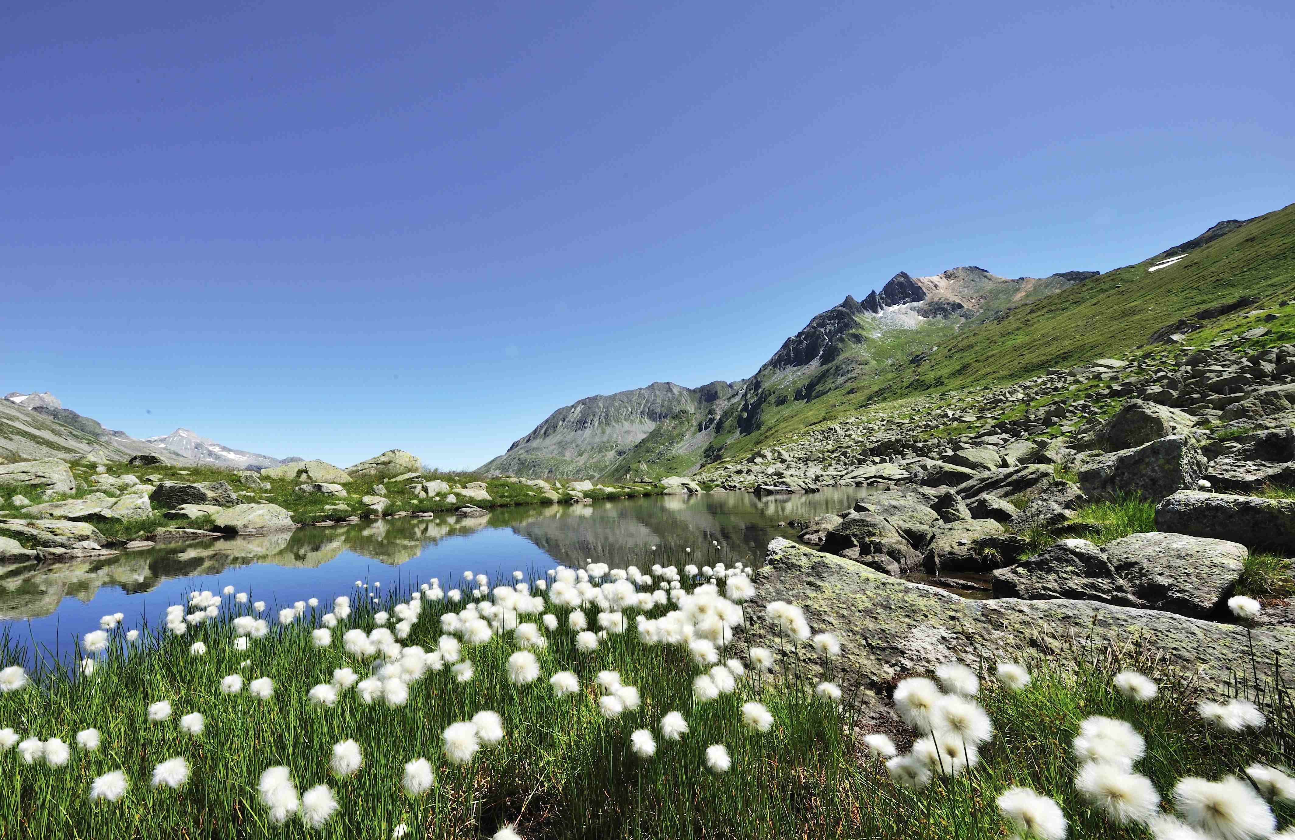 Traces of the Stone Age at Pfitscher Joch