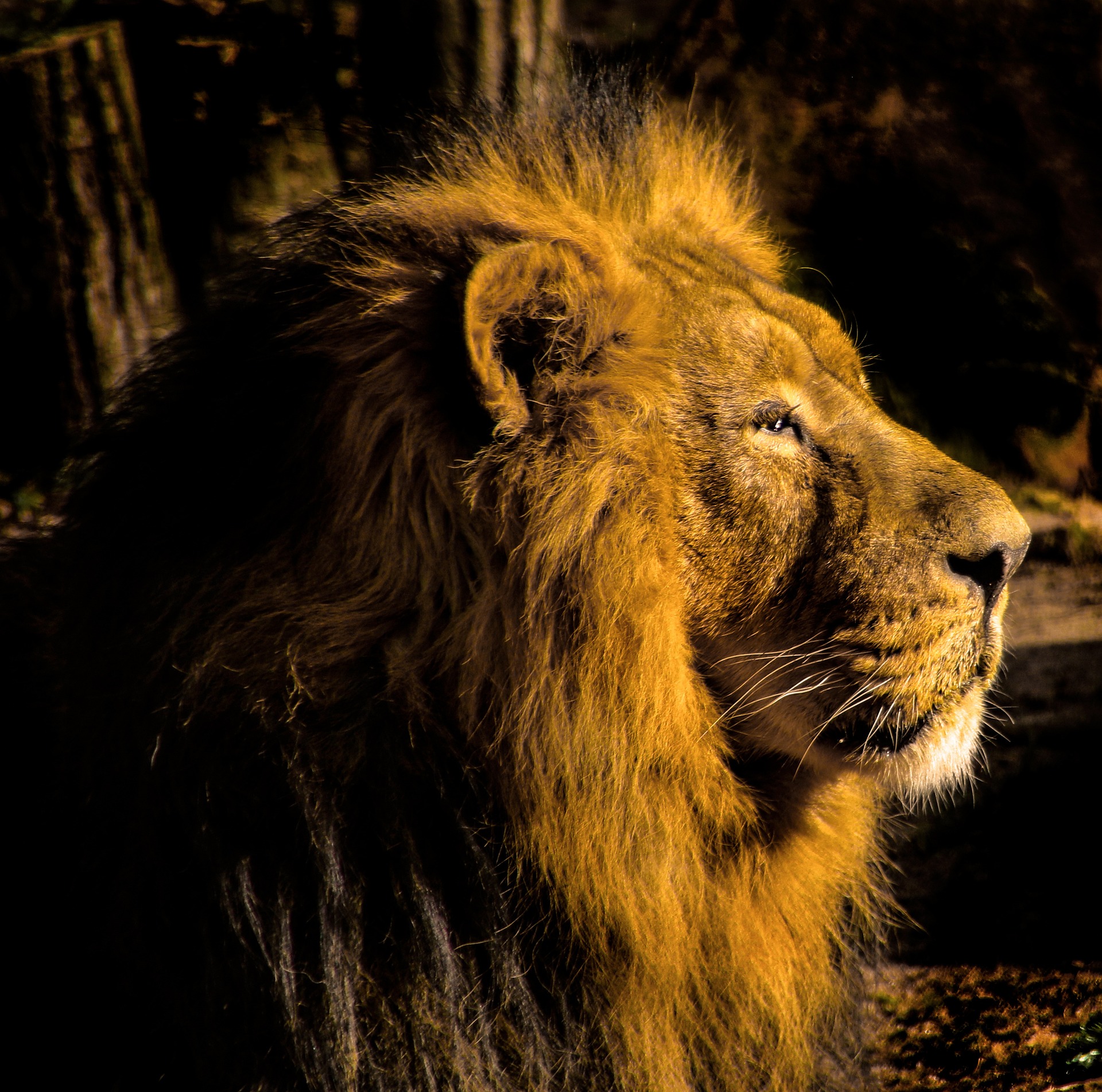Evening guided tour of the Nuremberg Zoo