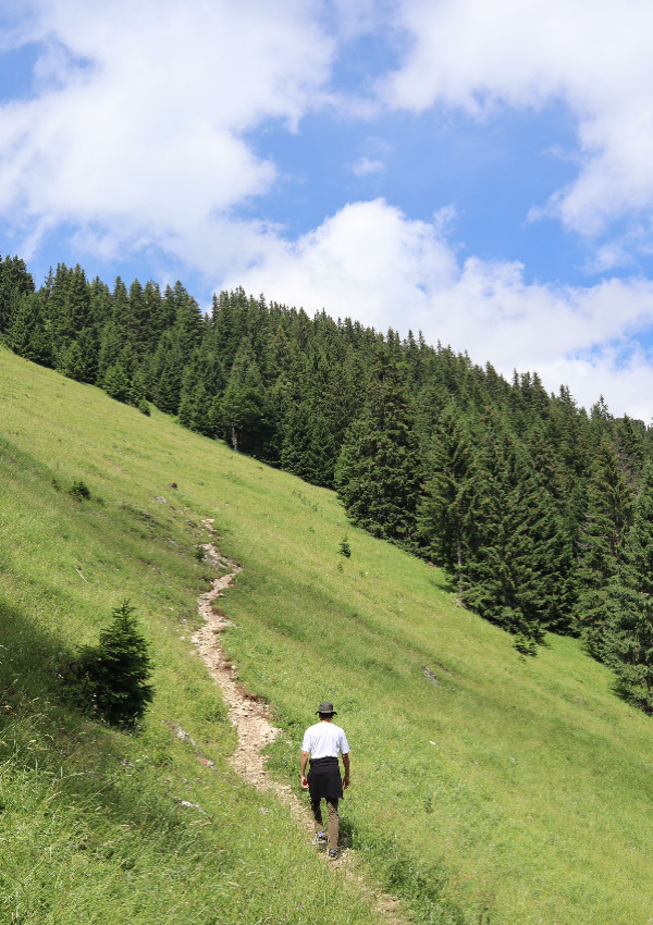 Hiking in nature - start directly from the hotel.