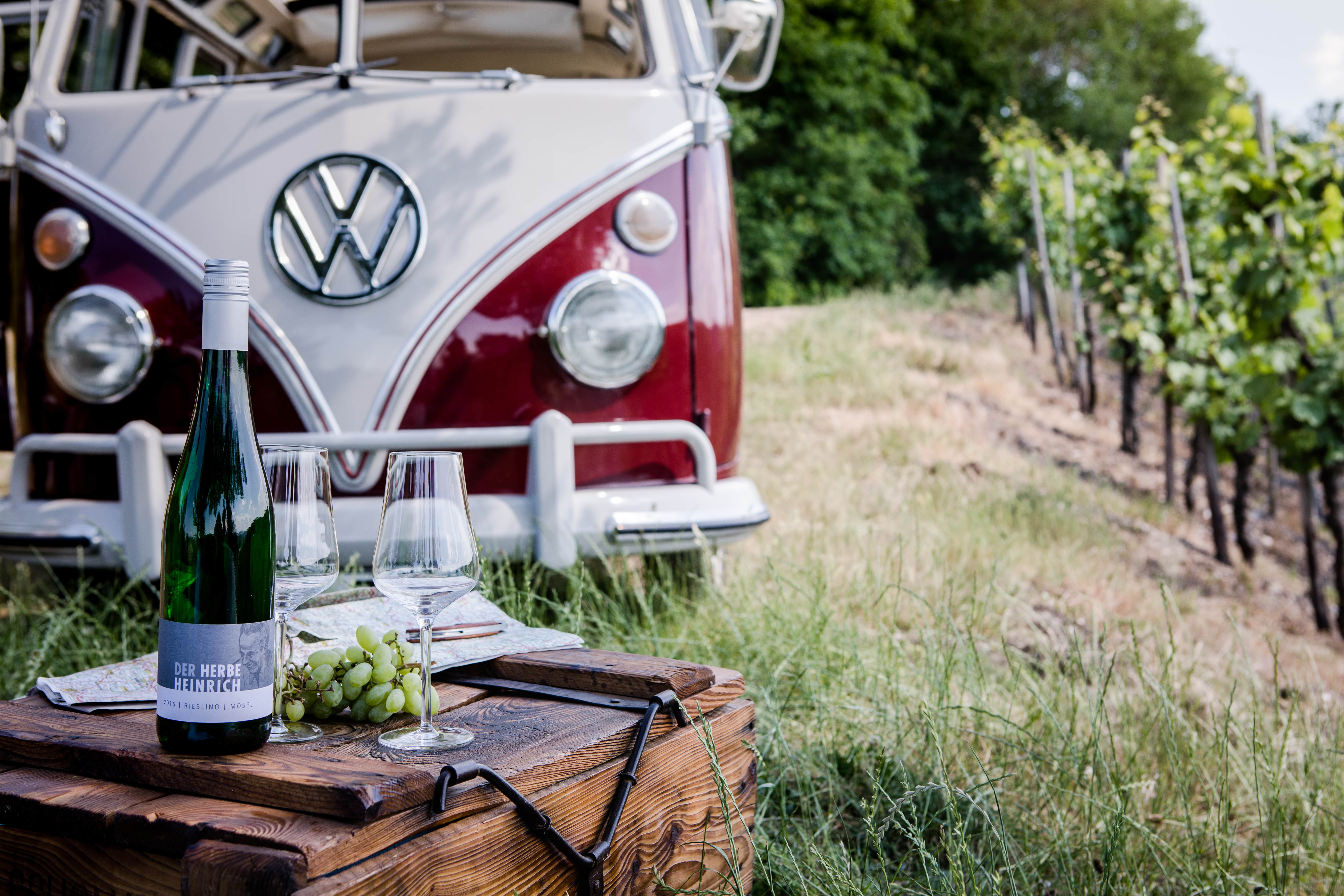 Bus&Boat tour through the vineyards