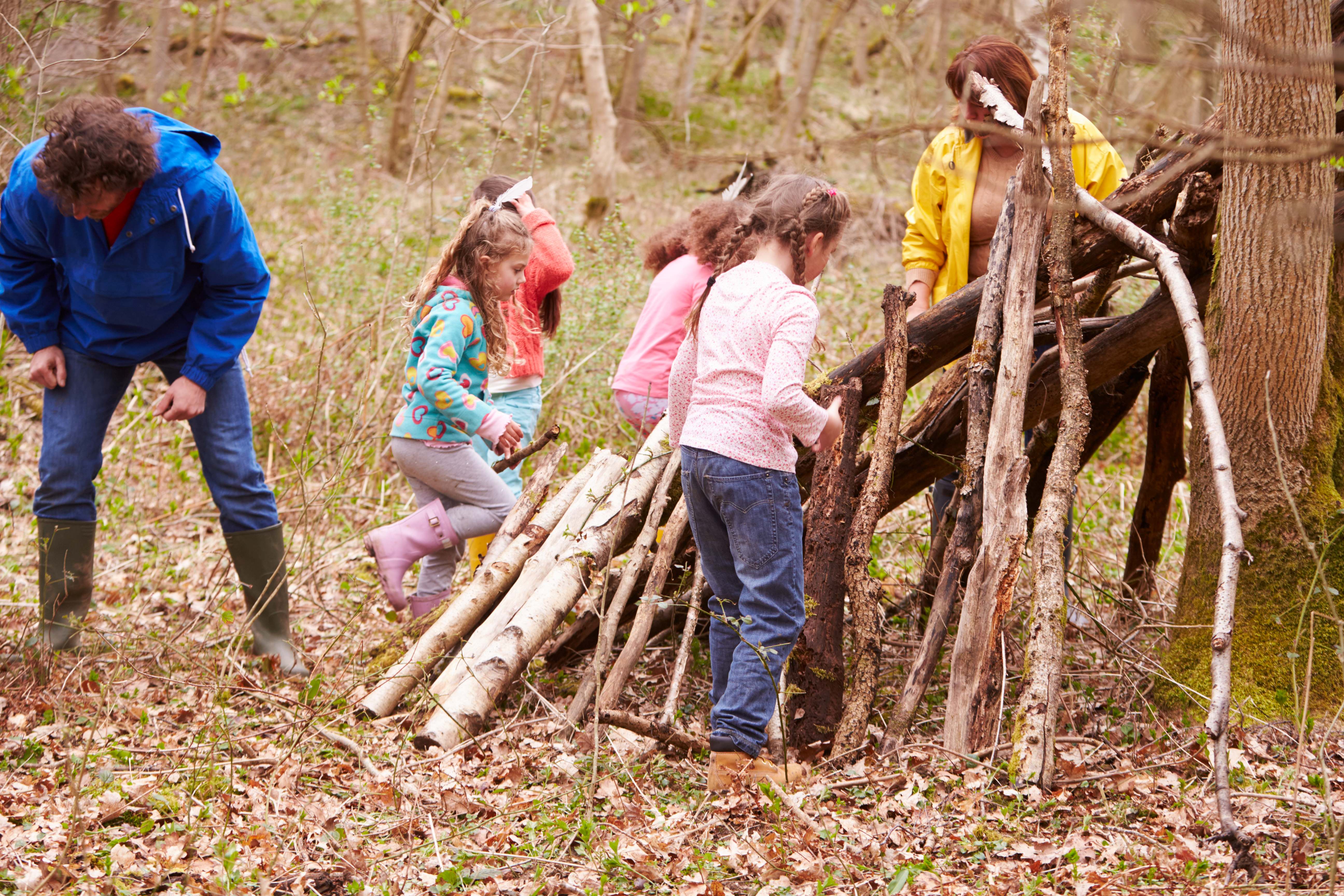 Build forest hideout