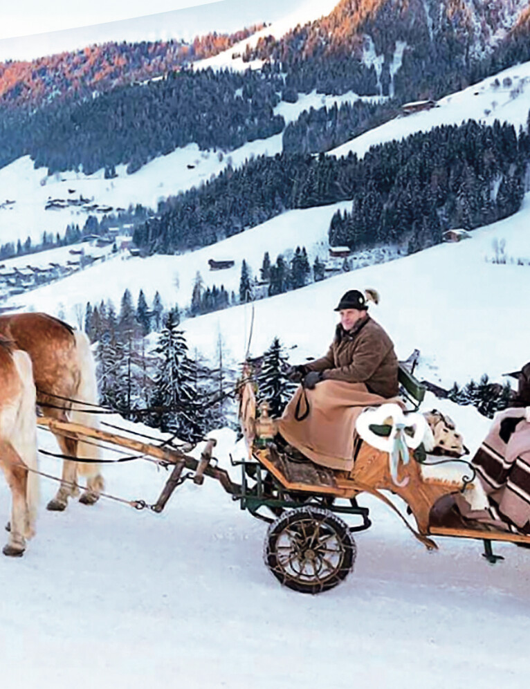 Horse sleigh ride
