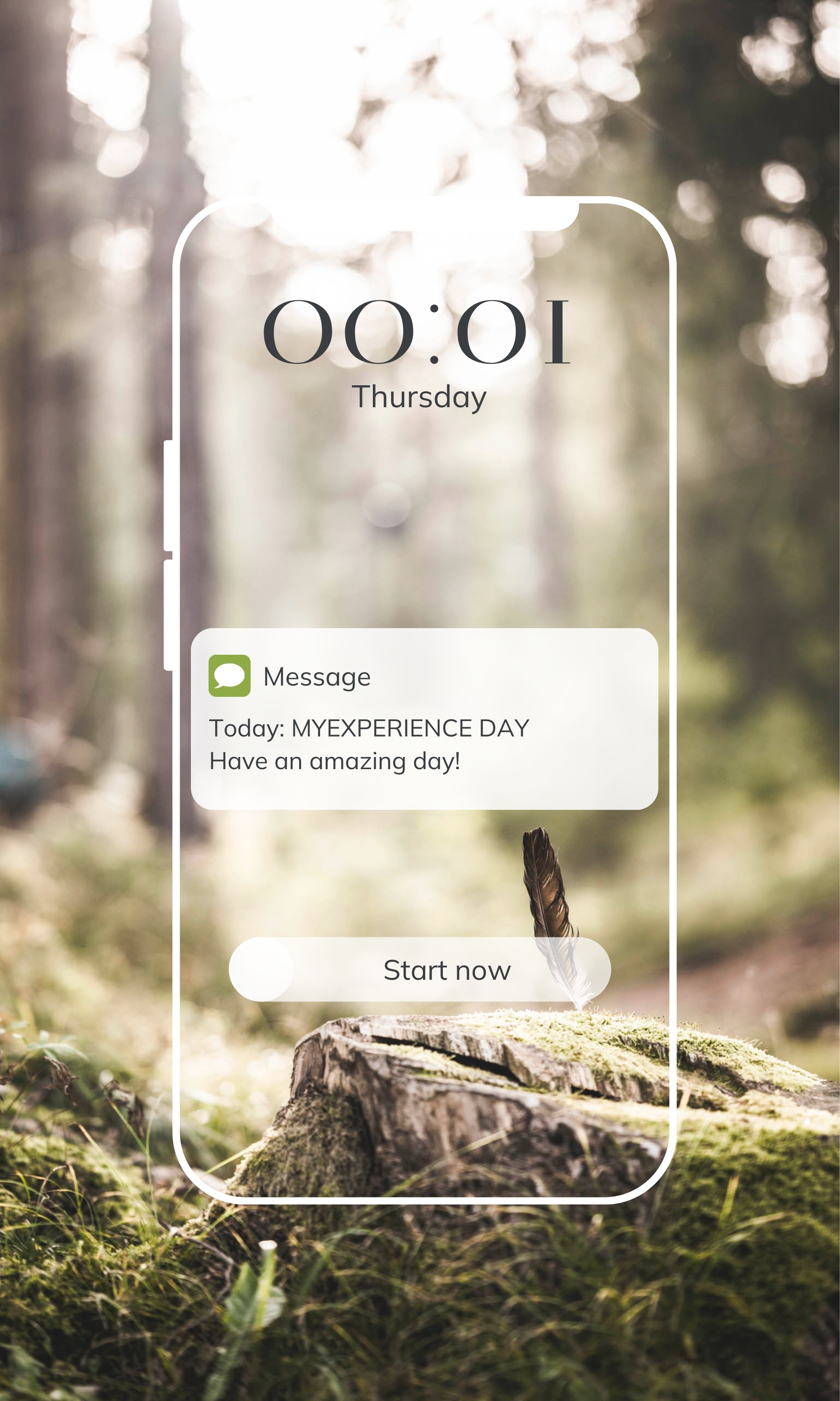 Donnerstag: MYEXPERIENCE DAY