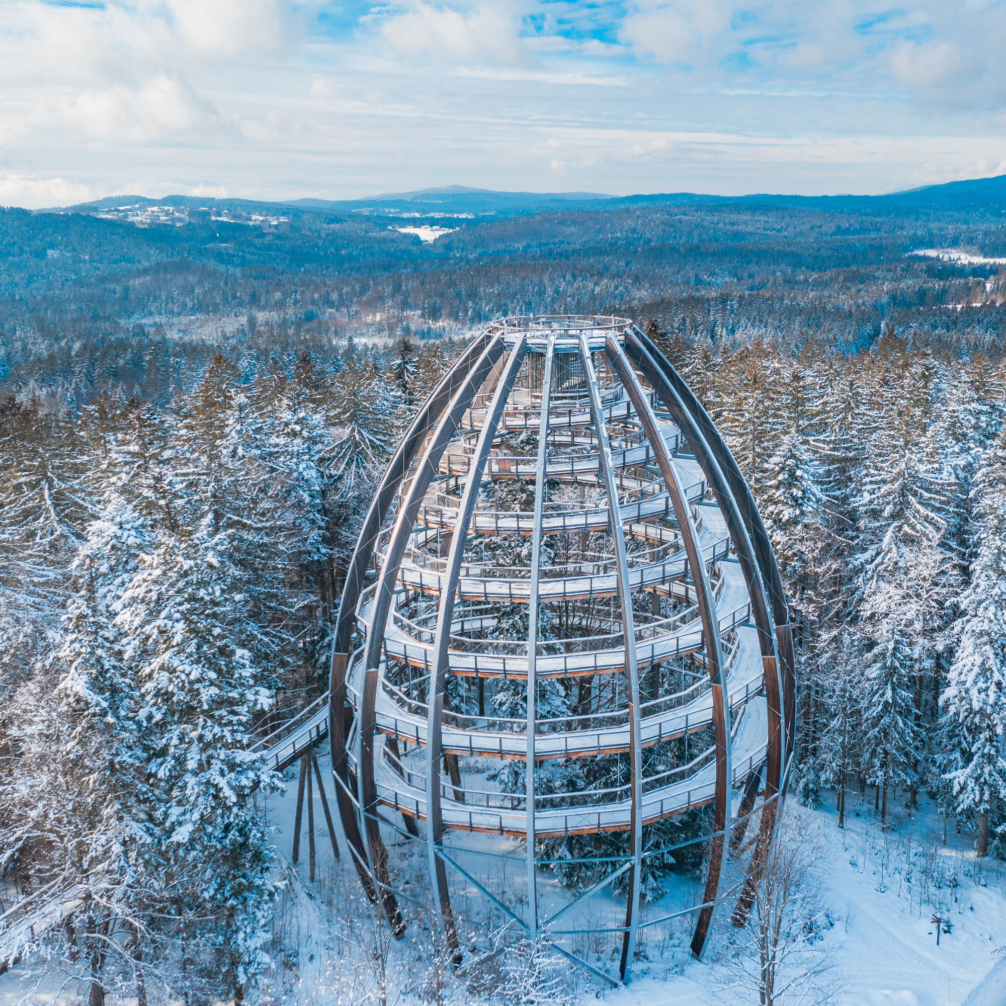 Treetop path Bavarian Forest
