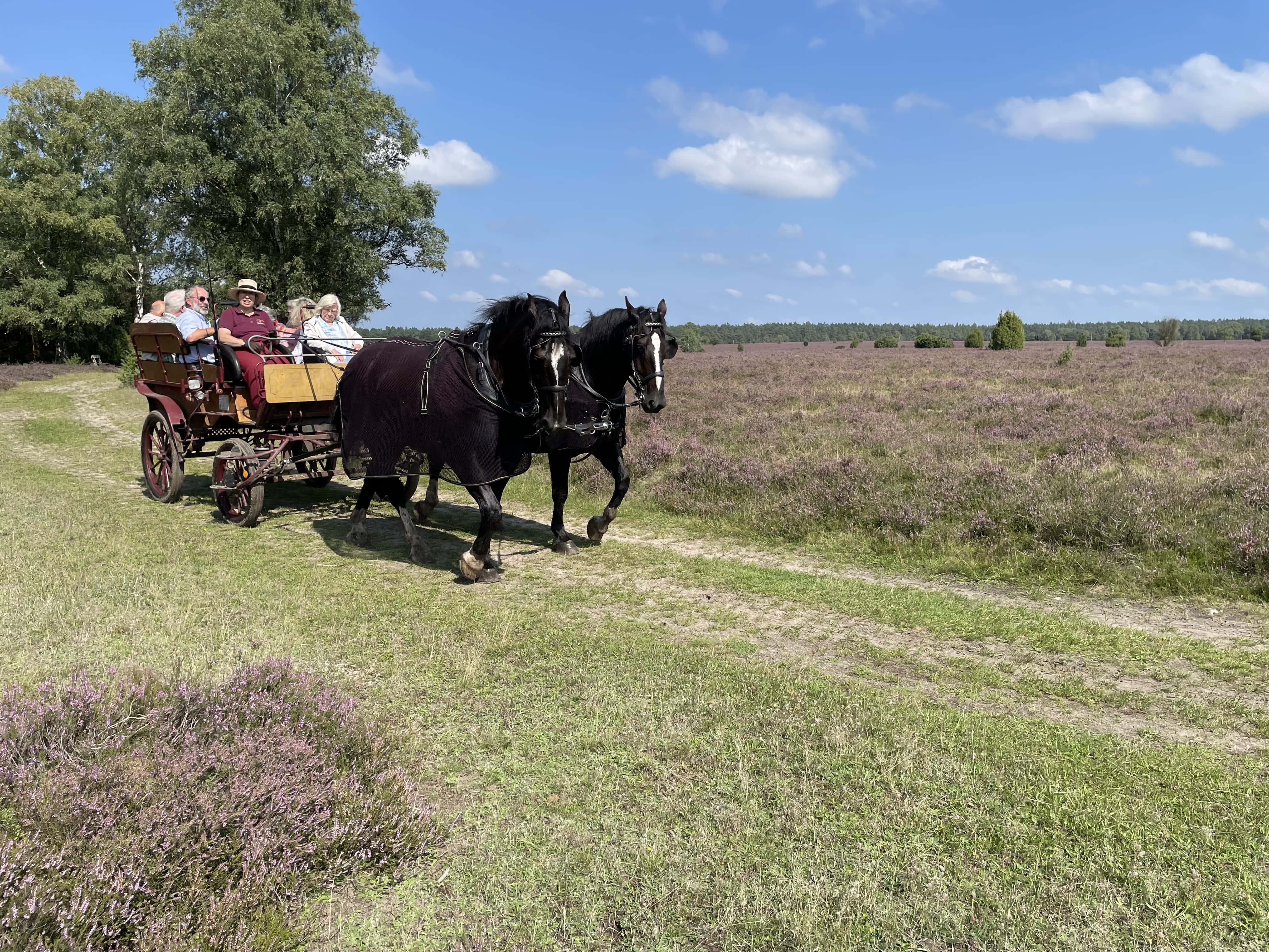 Super experience
"Small heath tour"