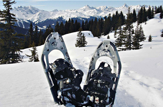 Snowshoe rental