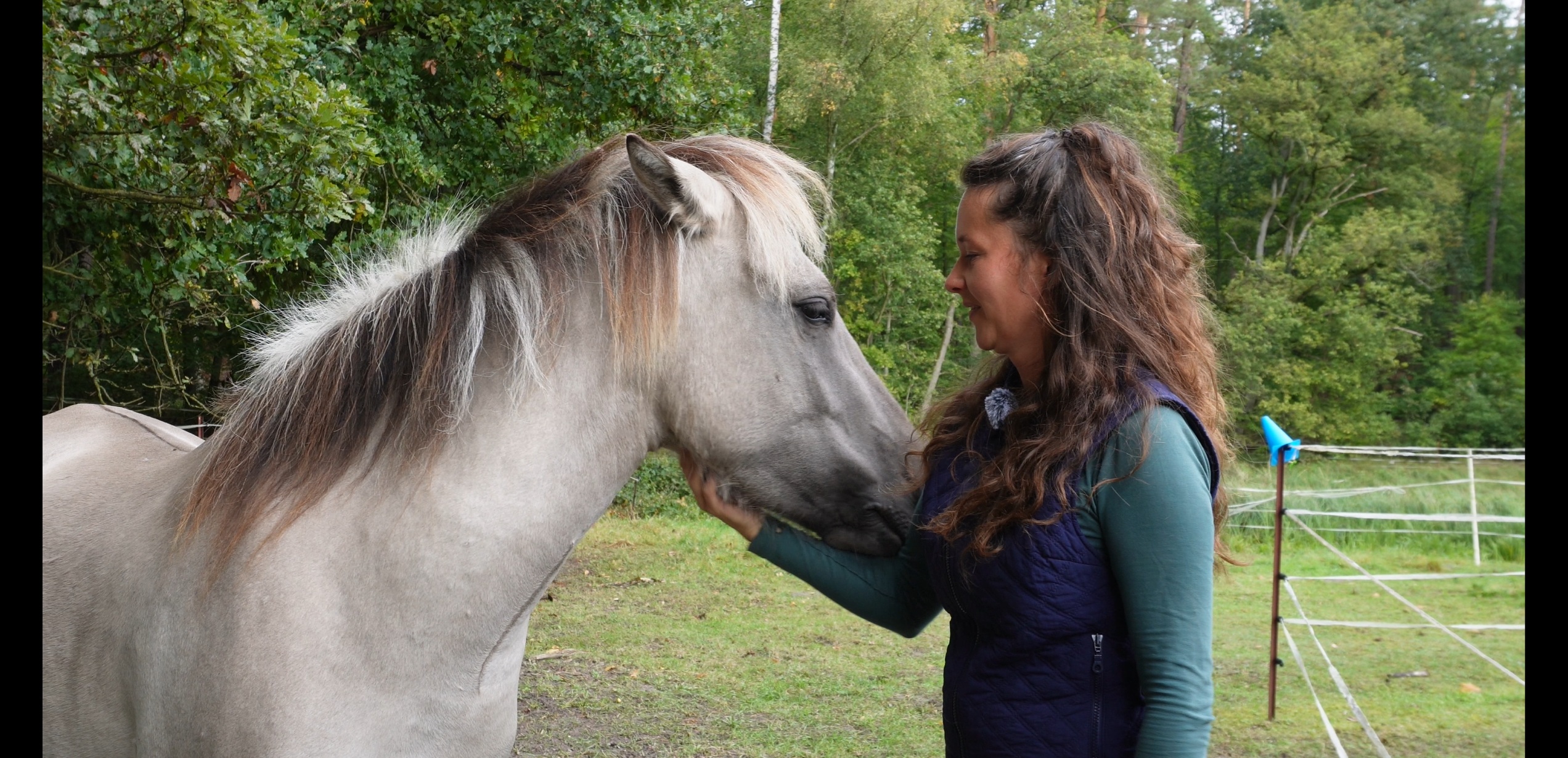 (Time out with horses