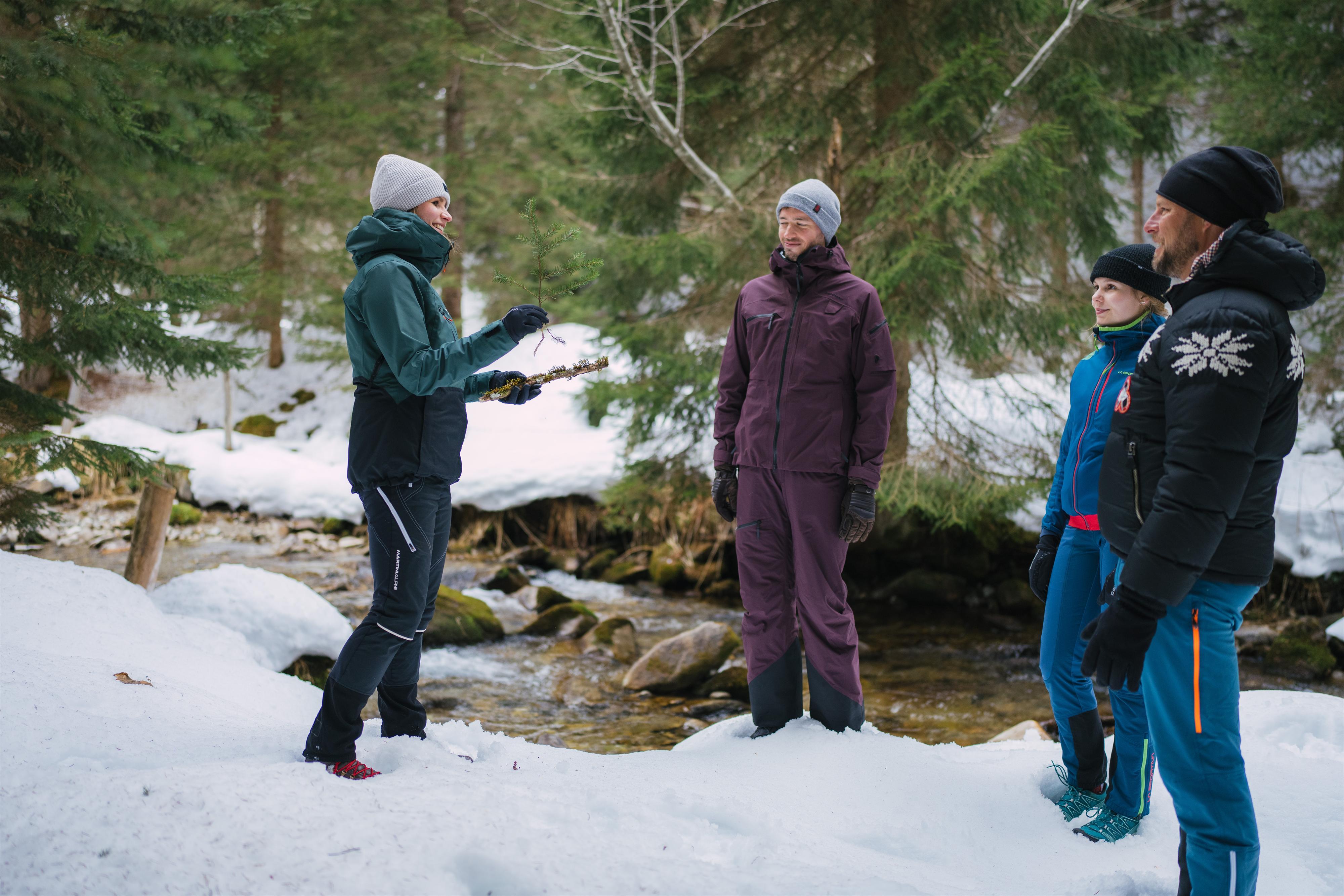 Alpine winter forest bathing in Gastein