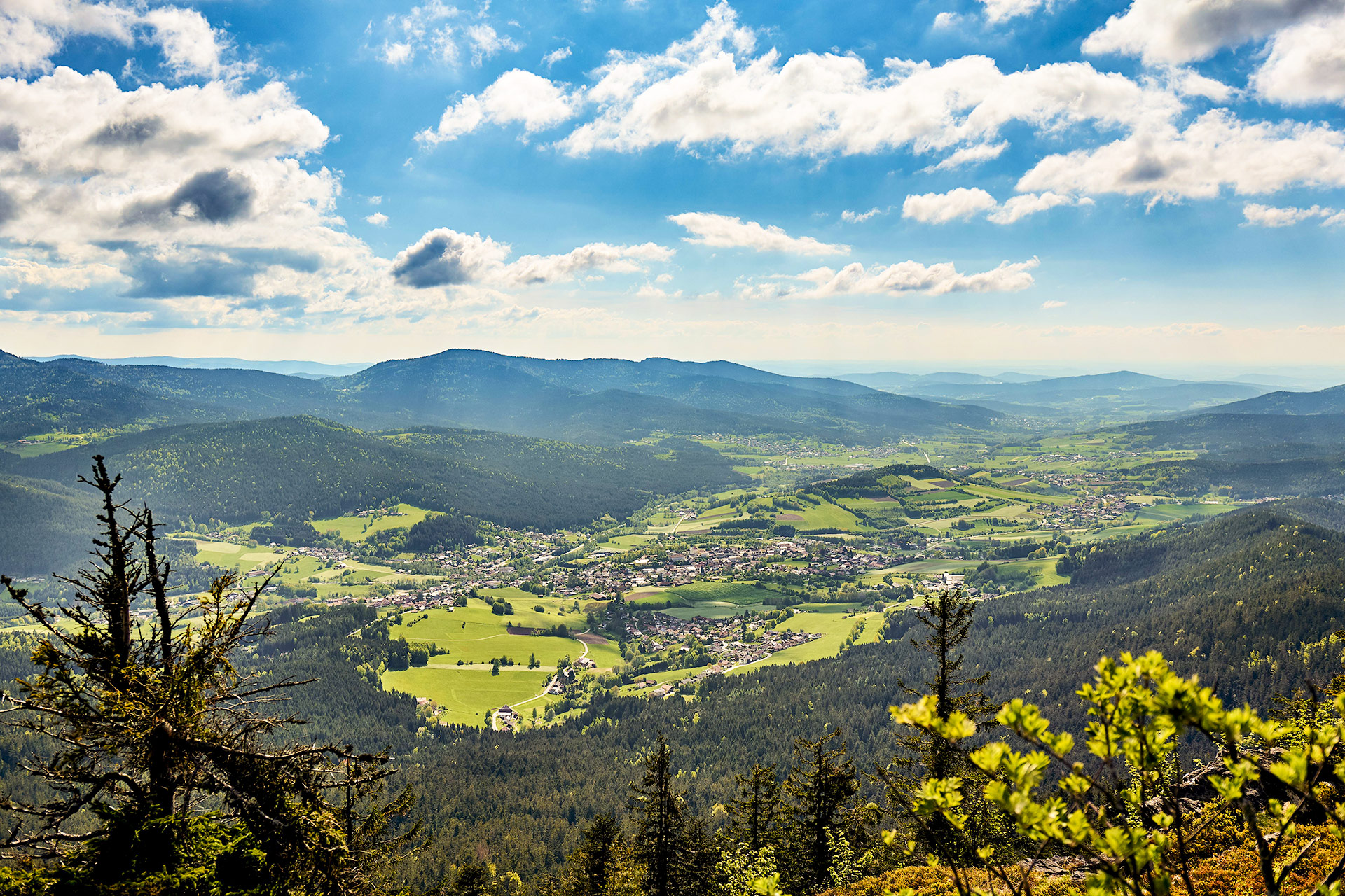Let's Head Out with Franz in Lamer Winkel - Hike
Meet at the front desk