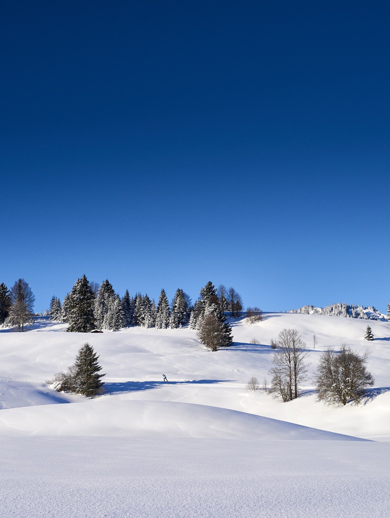 From the hike to the moor pond to the Vilsalpsee walk 