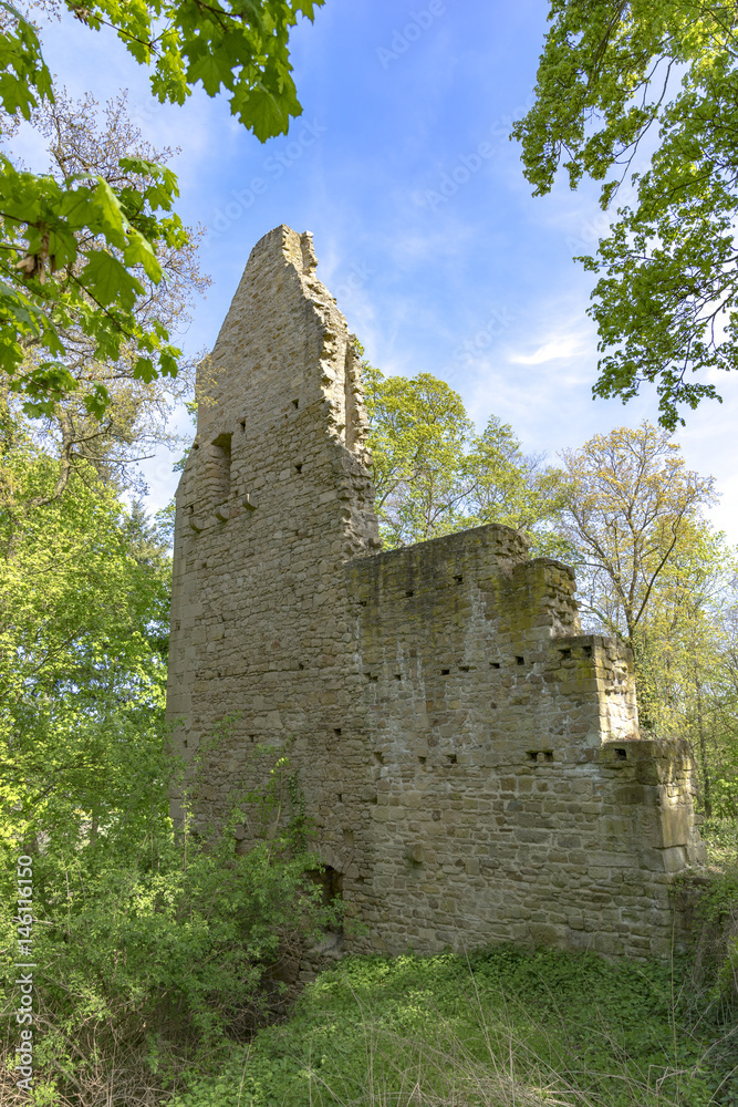 Vitaltour Disibodenberg